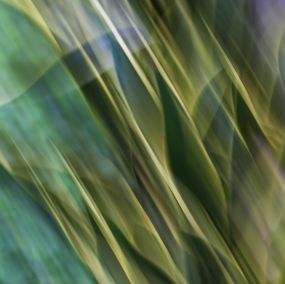 Eszter Papp, Abstract nature Eszter Papp, Abstract nature