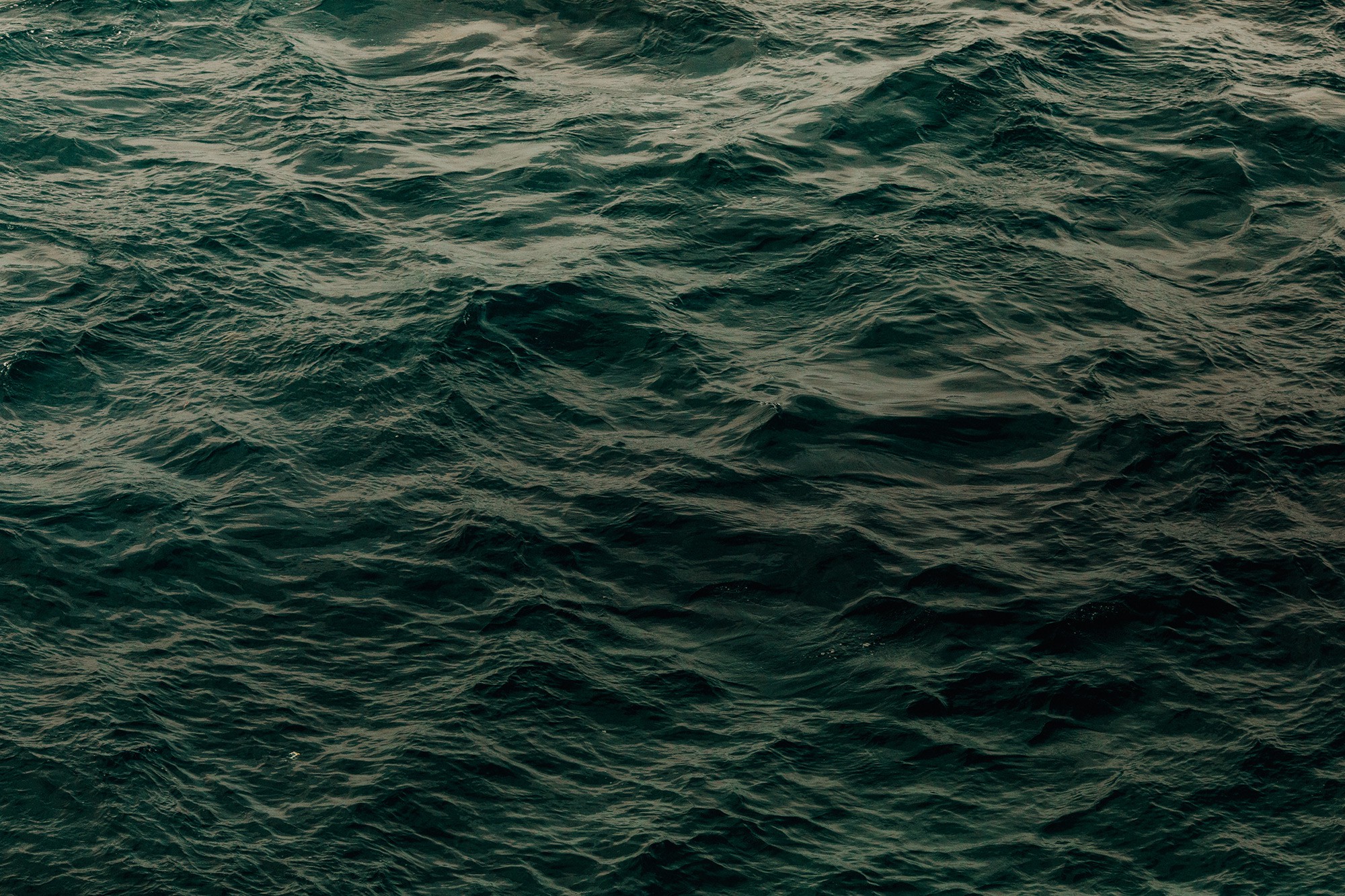 Eszter Papp, Gentle Ripples Eszter Papp, Gentle Ripples