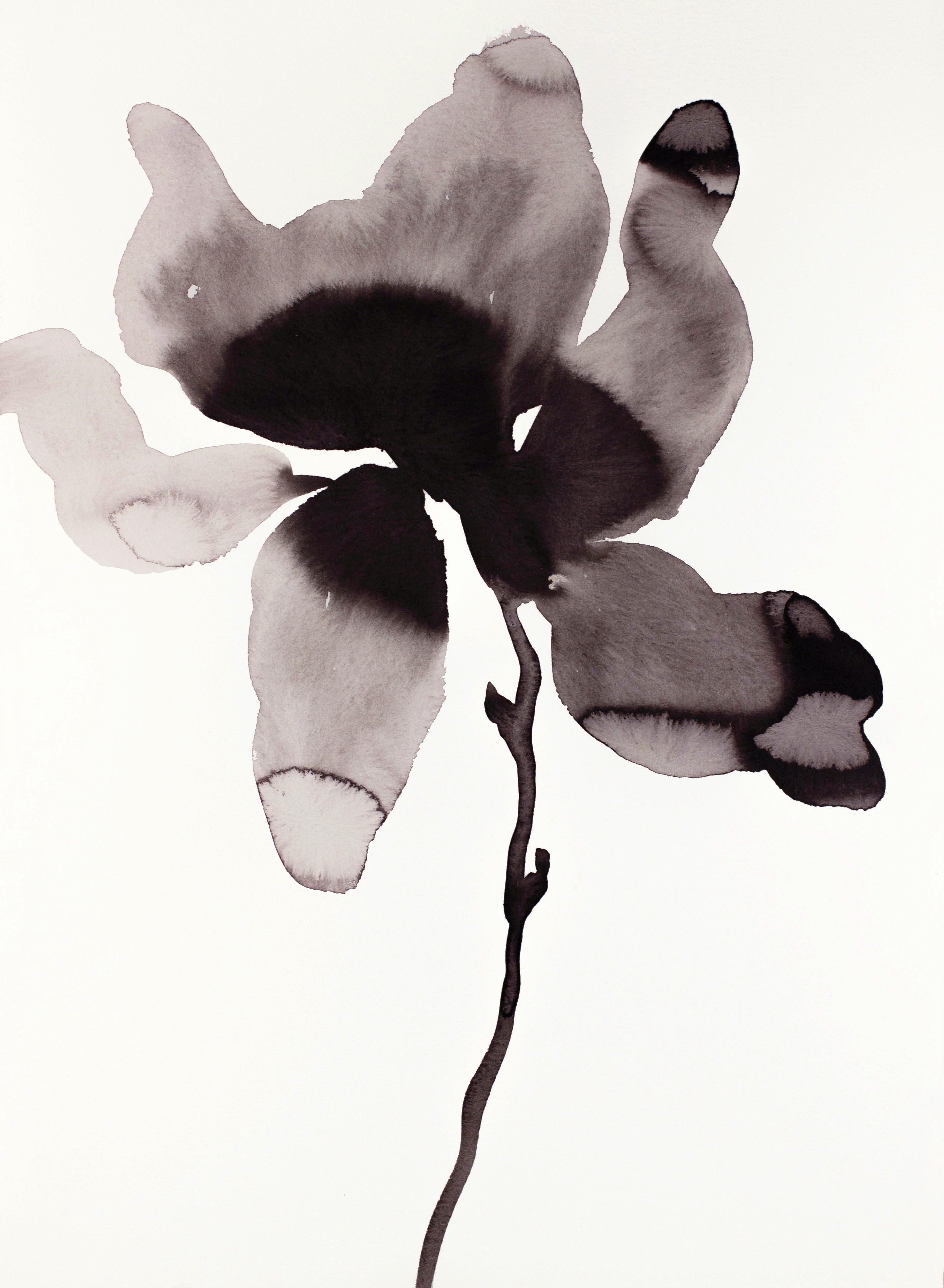 Elizabeth Becker, Magnolia No. 46 Elizabeth Becker, Magnolia No. 46