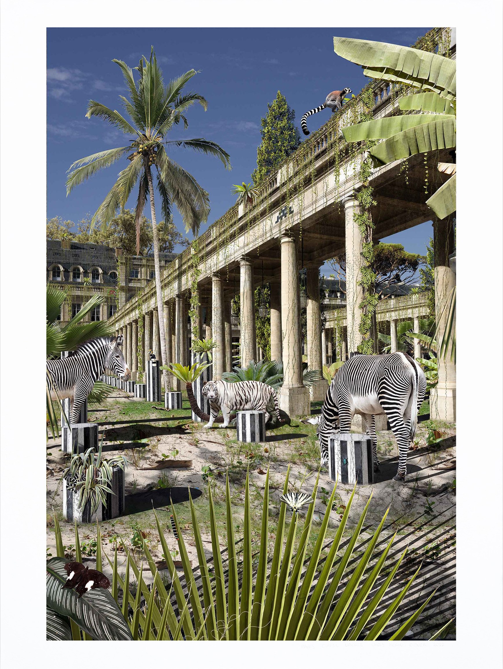Chris Morin-Eitner, Paris, Palais zébré Chris Morin-Eitner, Paris, Palais zébré