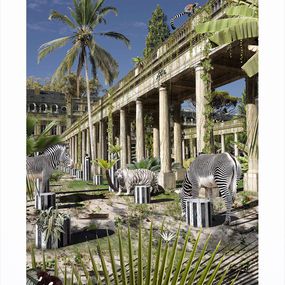 Drucke, Paris, Palais zébré, Chris Morin-Eitner