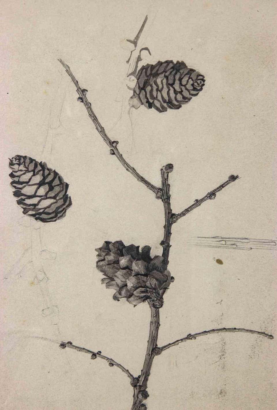 Edita Broglio, Still life Edita Broglio, Still life