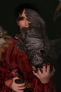 The birds nightmare, Lisa Palomino