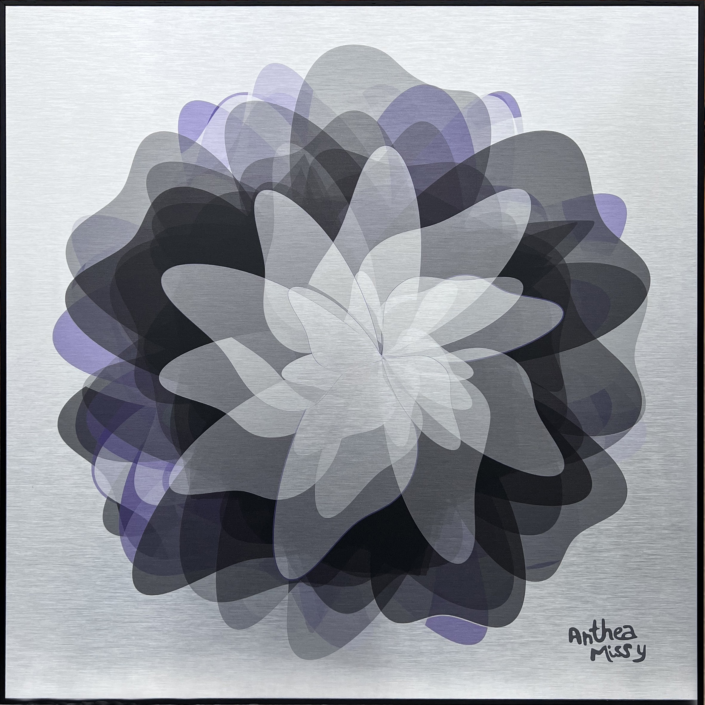 Anthea Missy, Daydream 5 Anthea Missy, Daydream 5