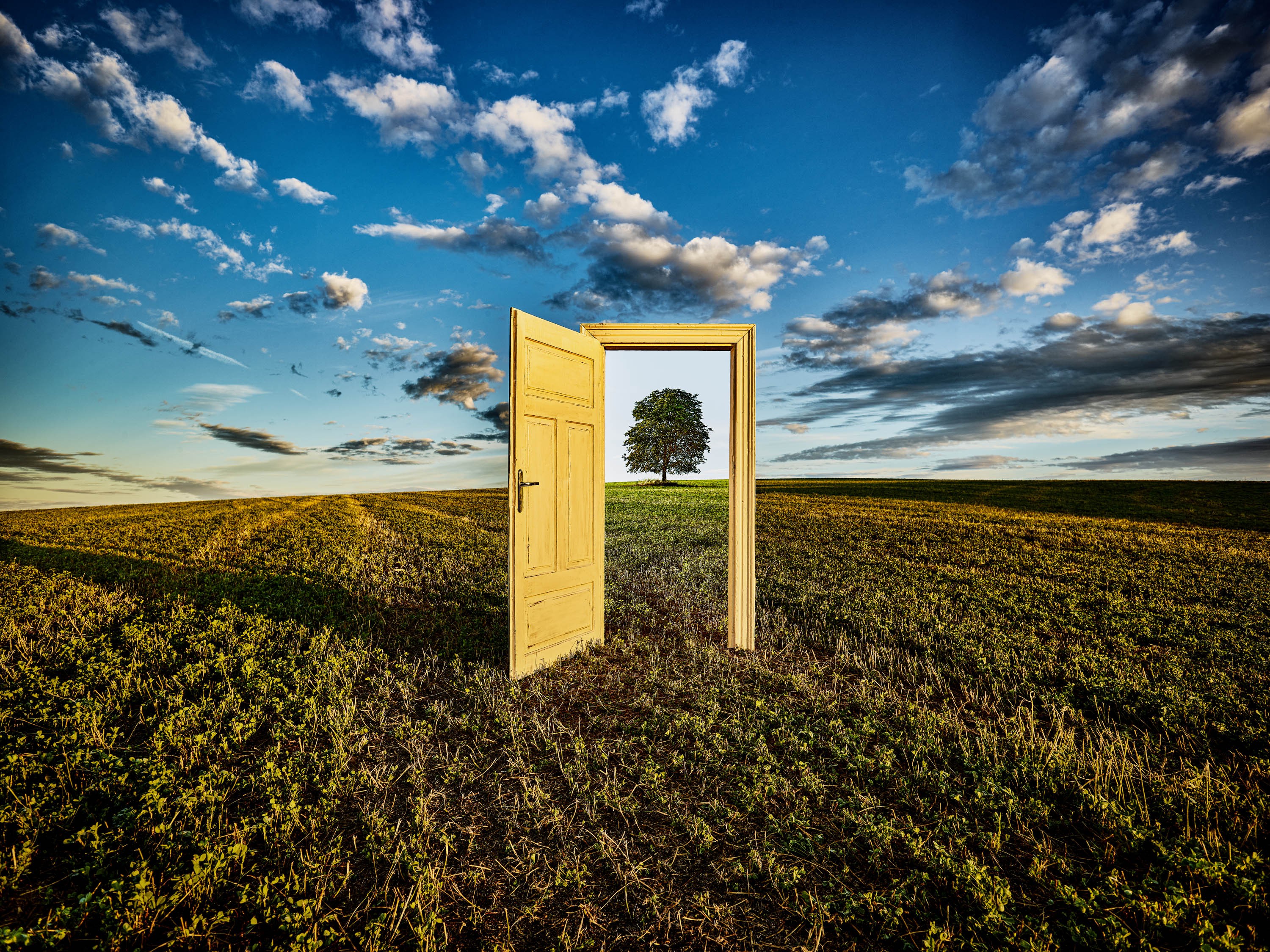 Jan Brunclík, The door no.2 Jan Brunclík, The door no.2