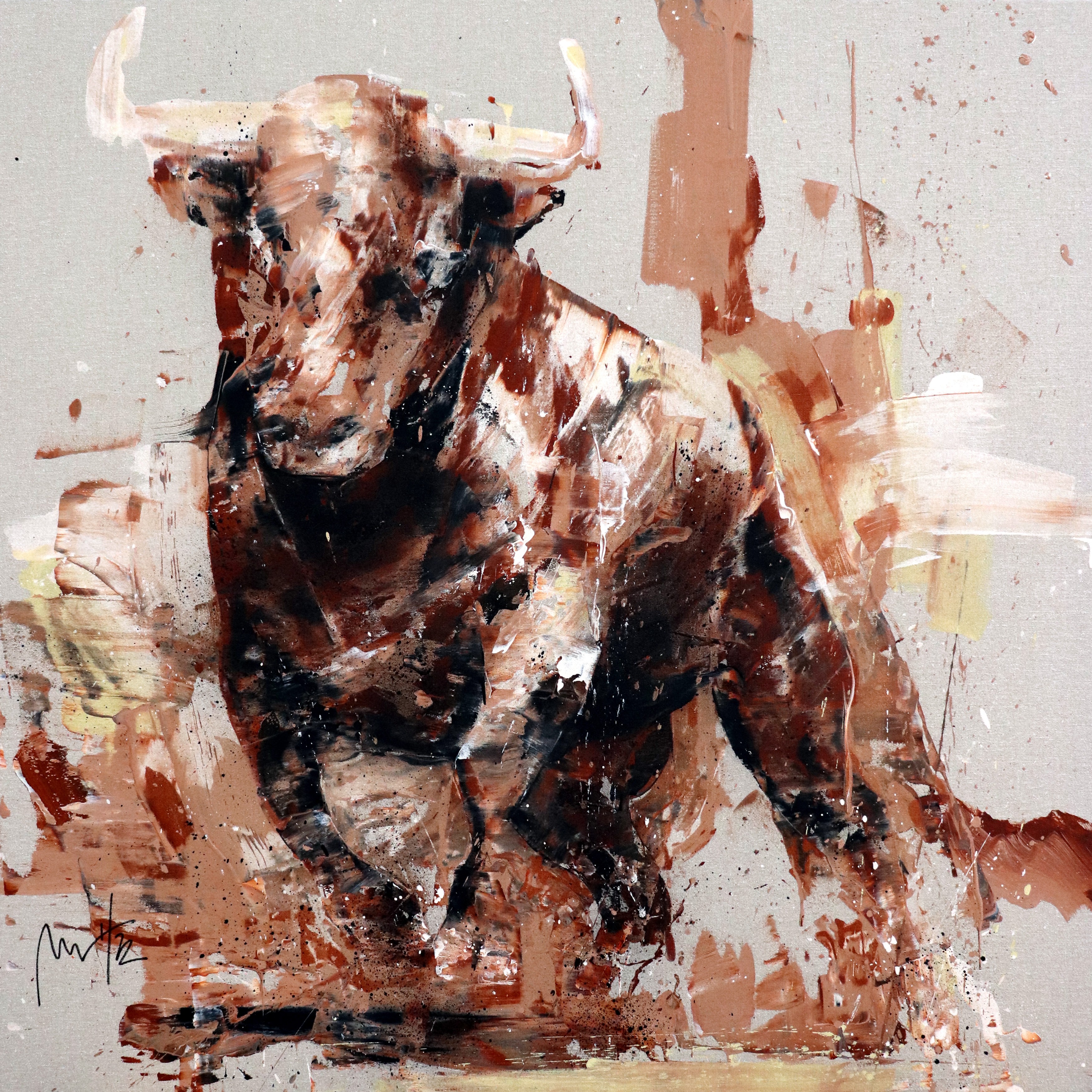 bulls animals charging