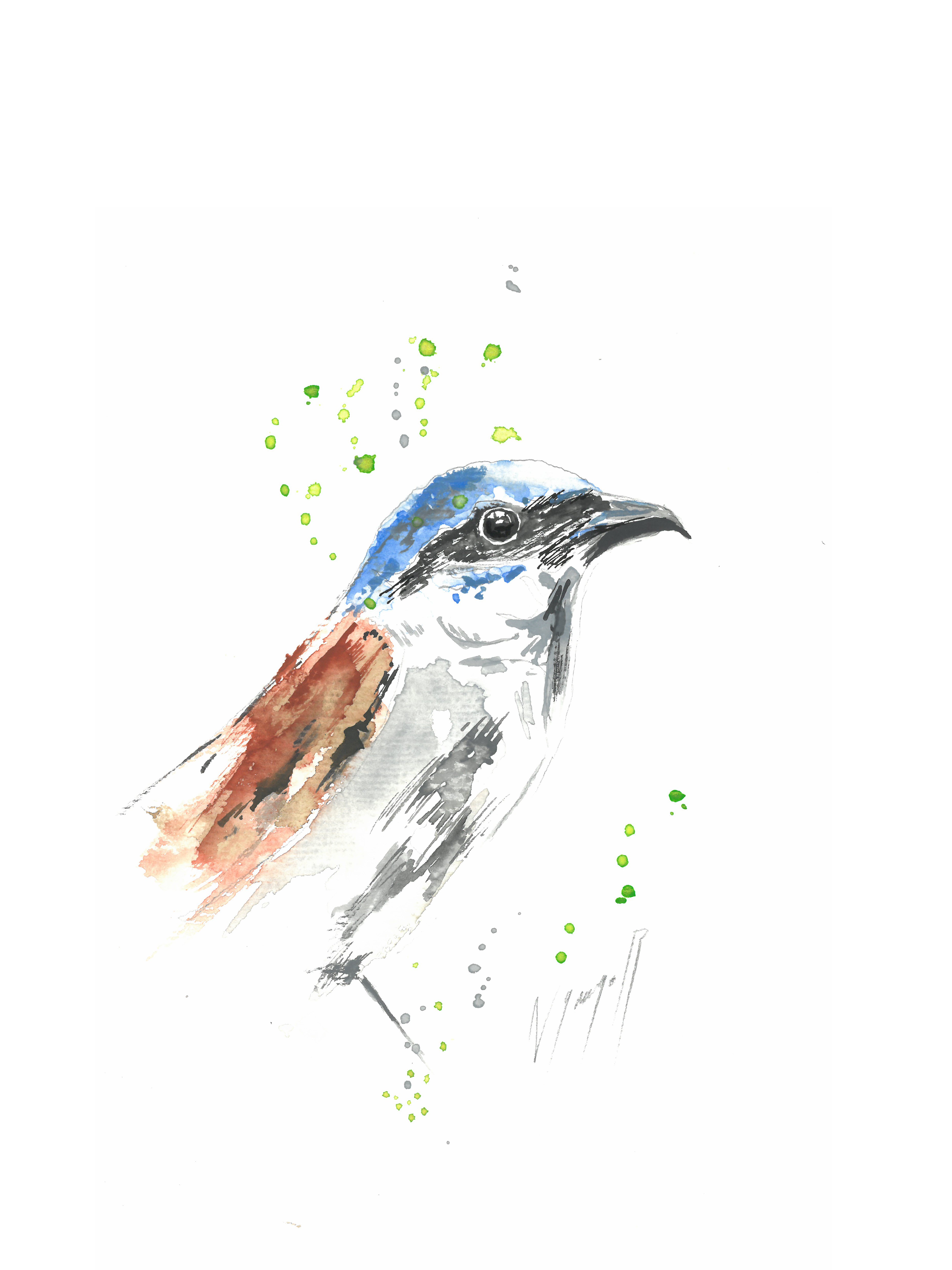 Noël Granger, L'Oiseau Bleu Noël Granger, L'Oiseau Bleu