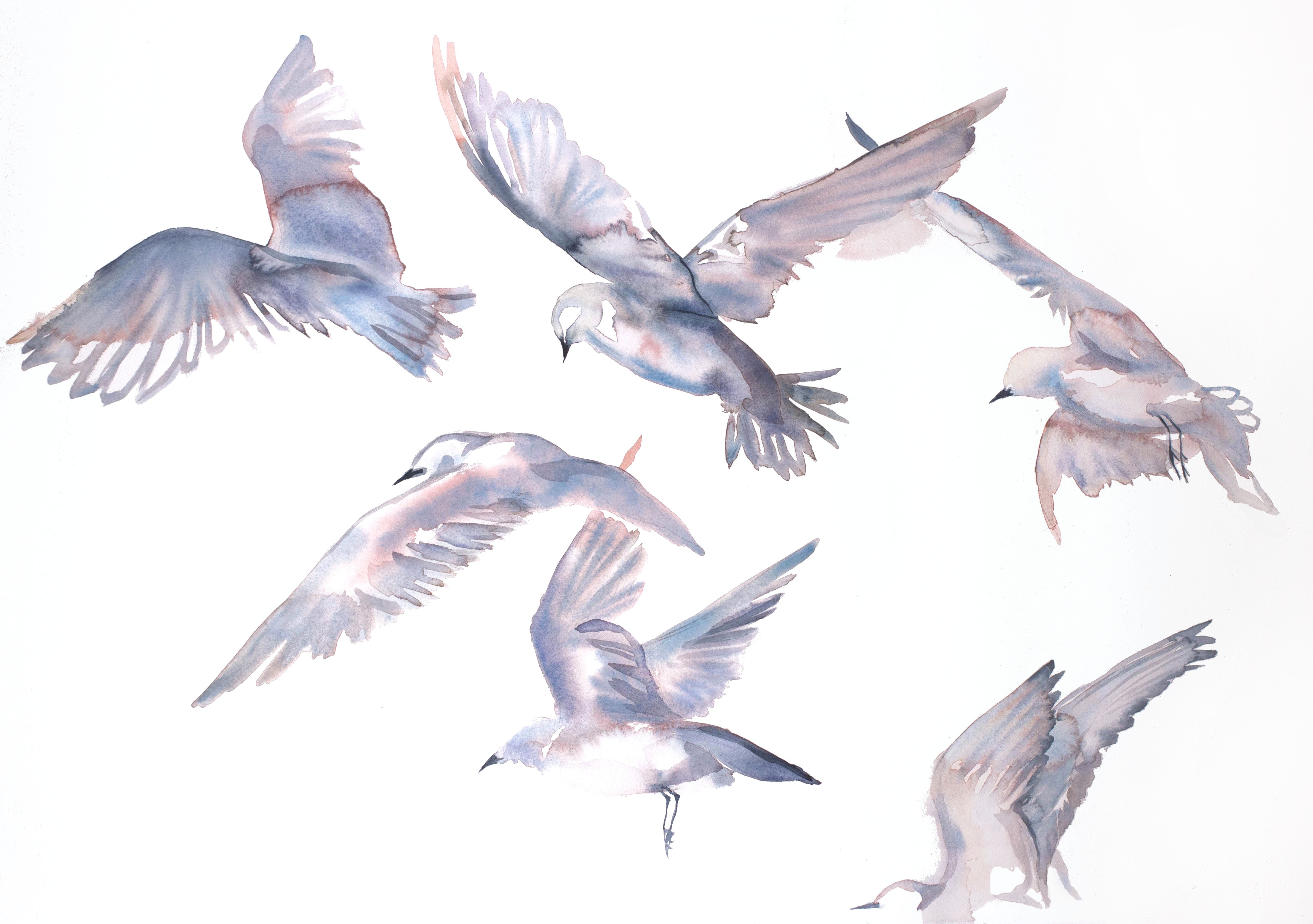 Elizabeth Becker, Seagulls in Flight Elizabeth Becker, Seagulls in Flight