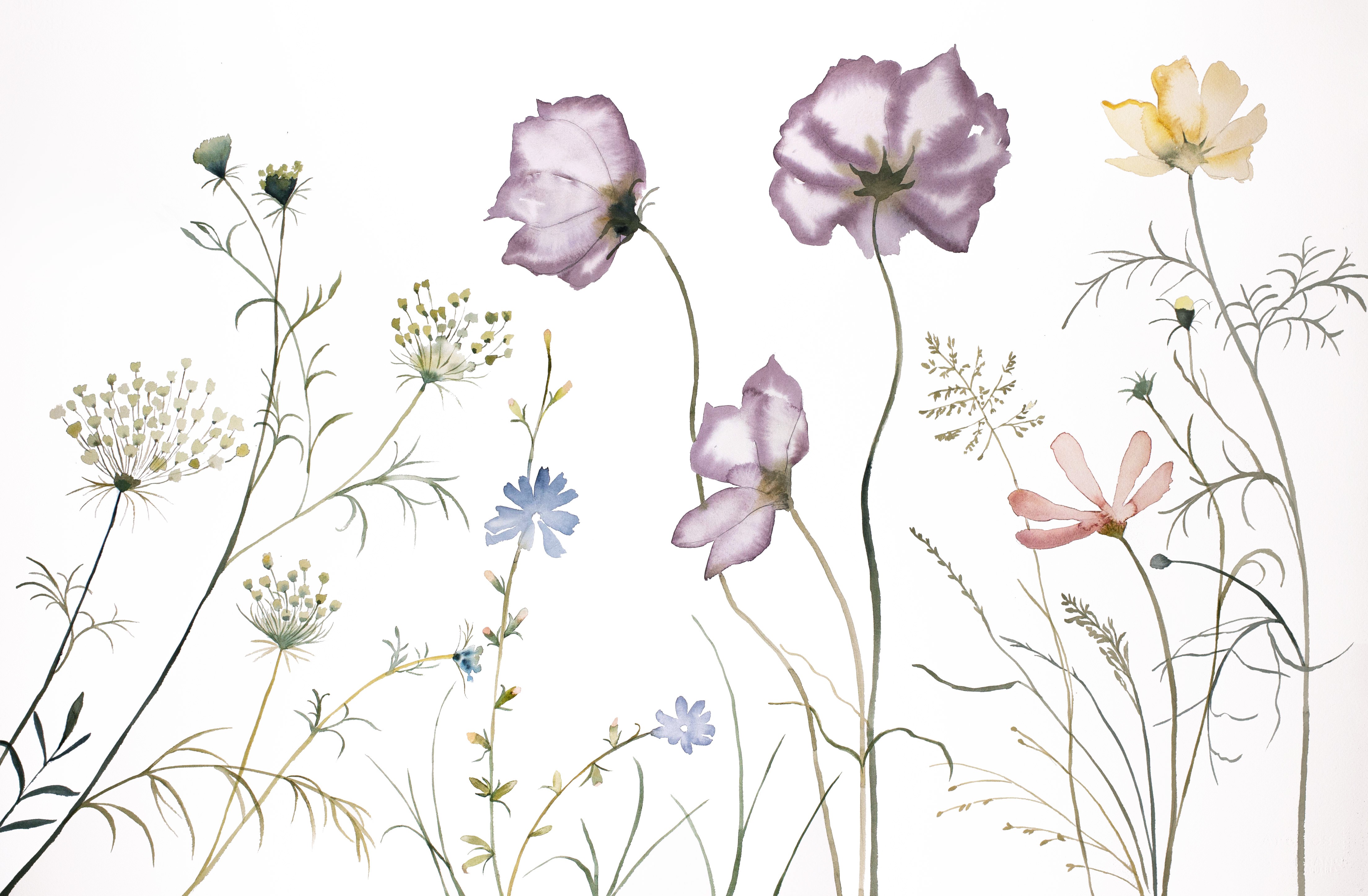 Elizabeth Becker, Meadow Study No. 10 Elizabeth Becker, Meadow Study No. 10