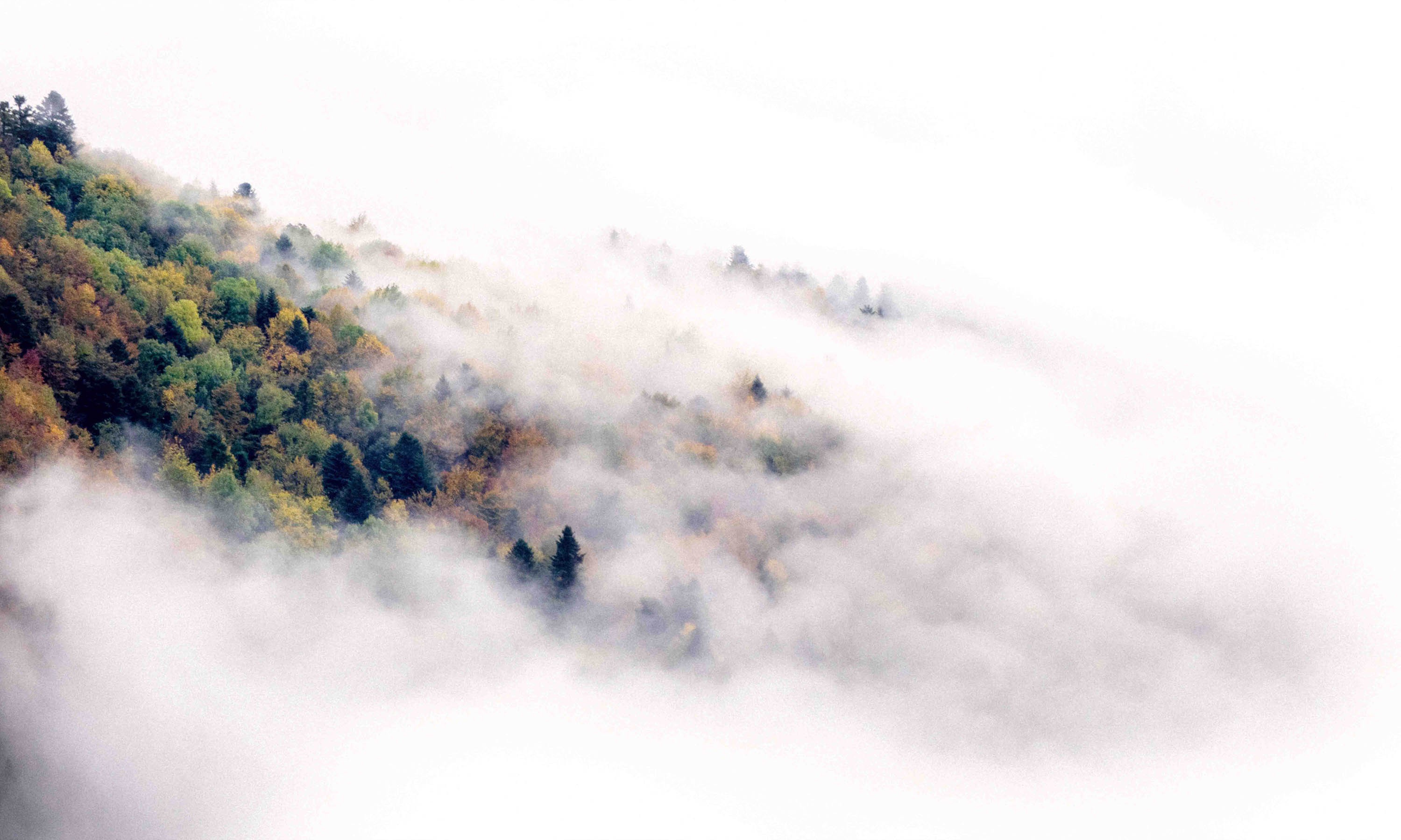 Tanguy Mendrisse, Winter is coming Tanguy Mendrisse, Winter is coming
