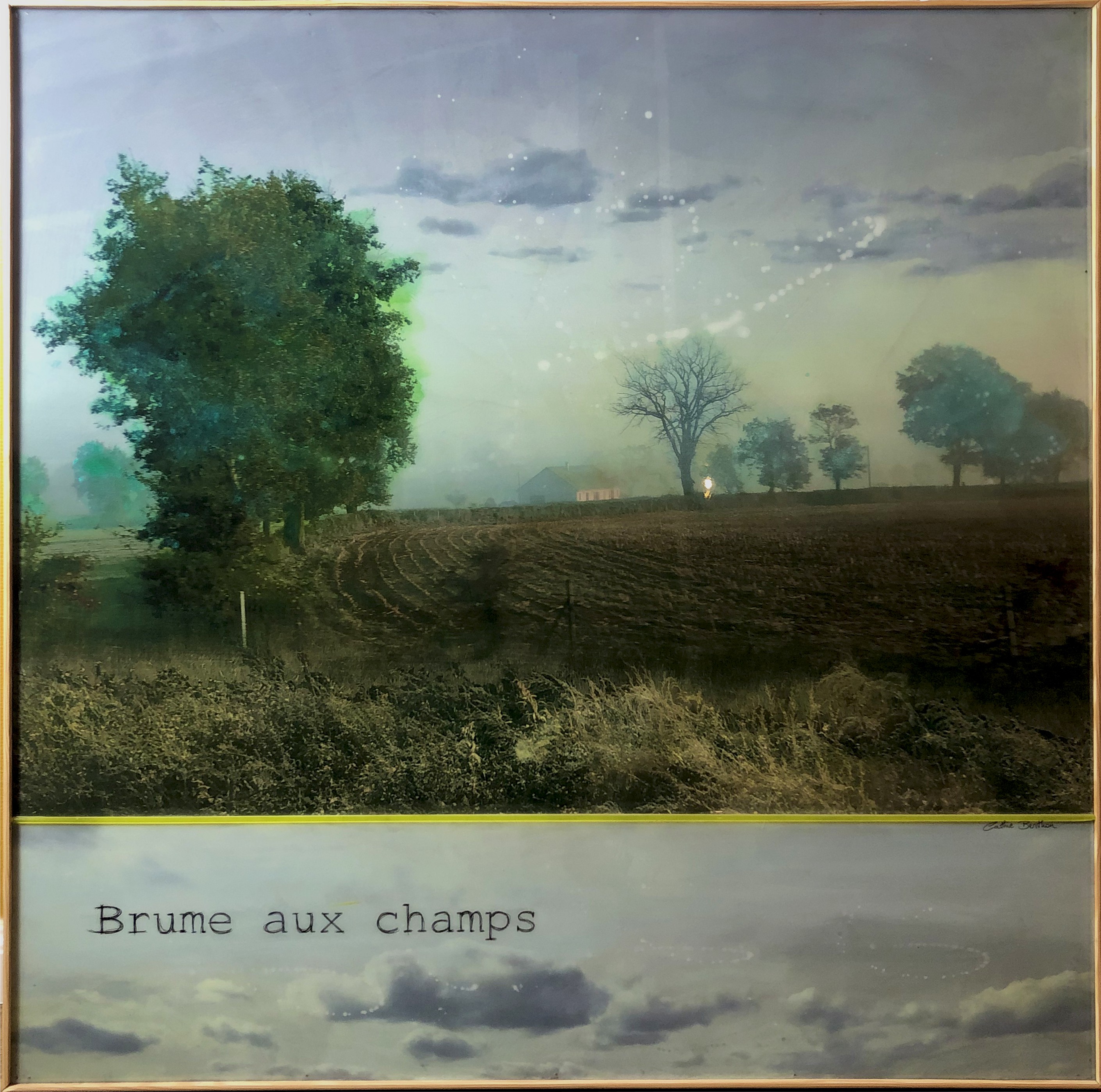 Cathie Berthon, Brume aux champs Cathie Berthon, Brume aux champs