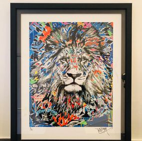 Jo Di Bona, Lion Blue Jo Di Bona, Lion Blue