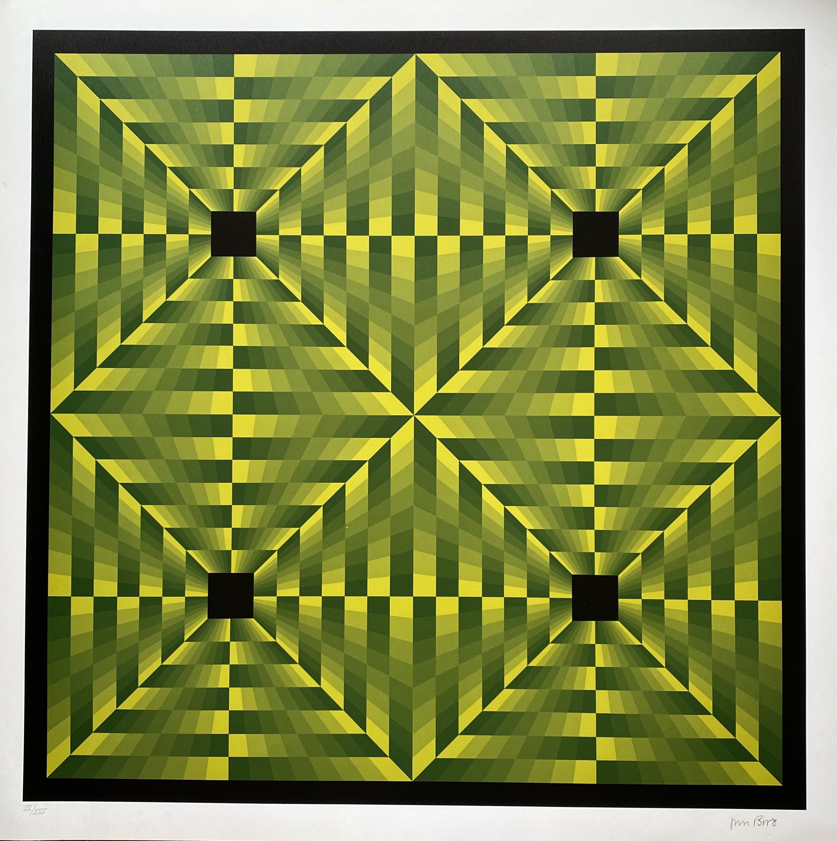 Jim Bird, Tribute to Vasarely Jim Bird, Tribute to Vasarely