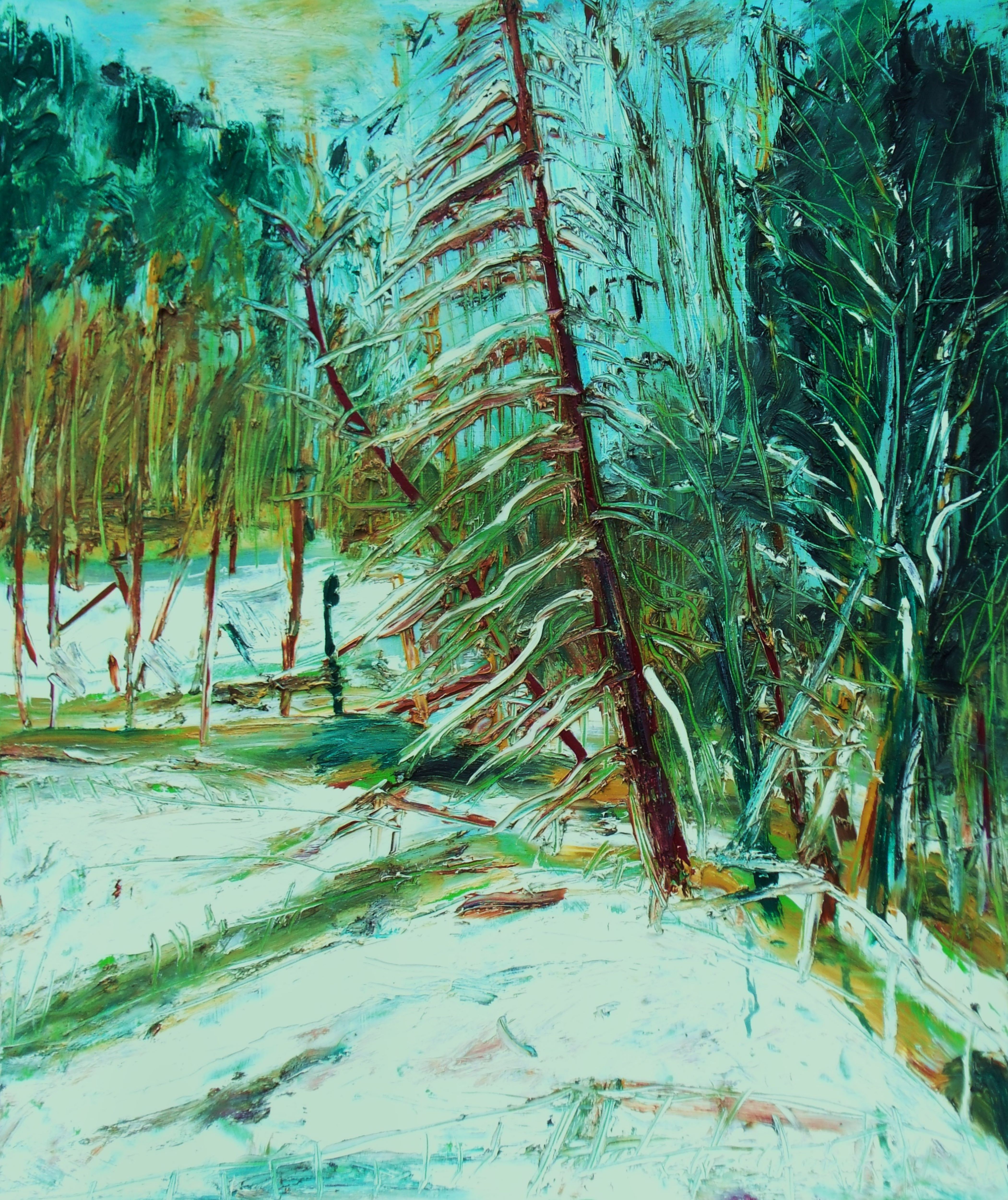 Karl-Karol Chrobok, Winter 2014 Karl-Karol Chrobok, Winter 2014