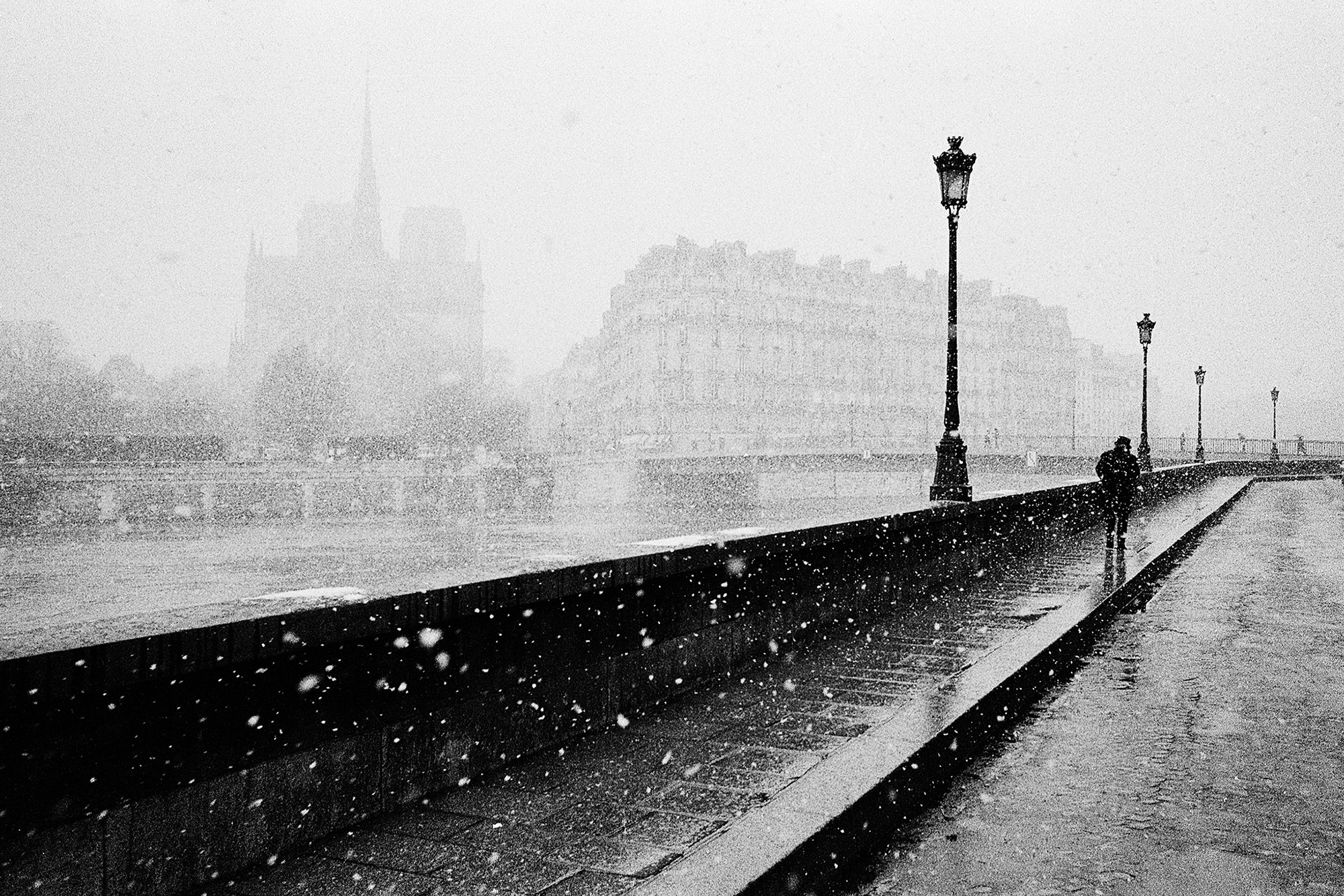 Olivier Marchesi, Notre-Dame Olivier Marchesi, Notre-Dame