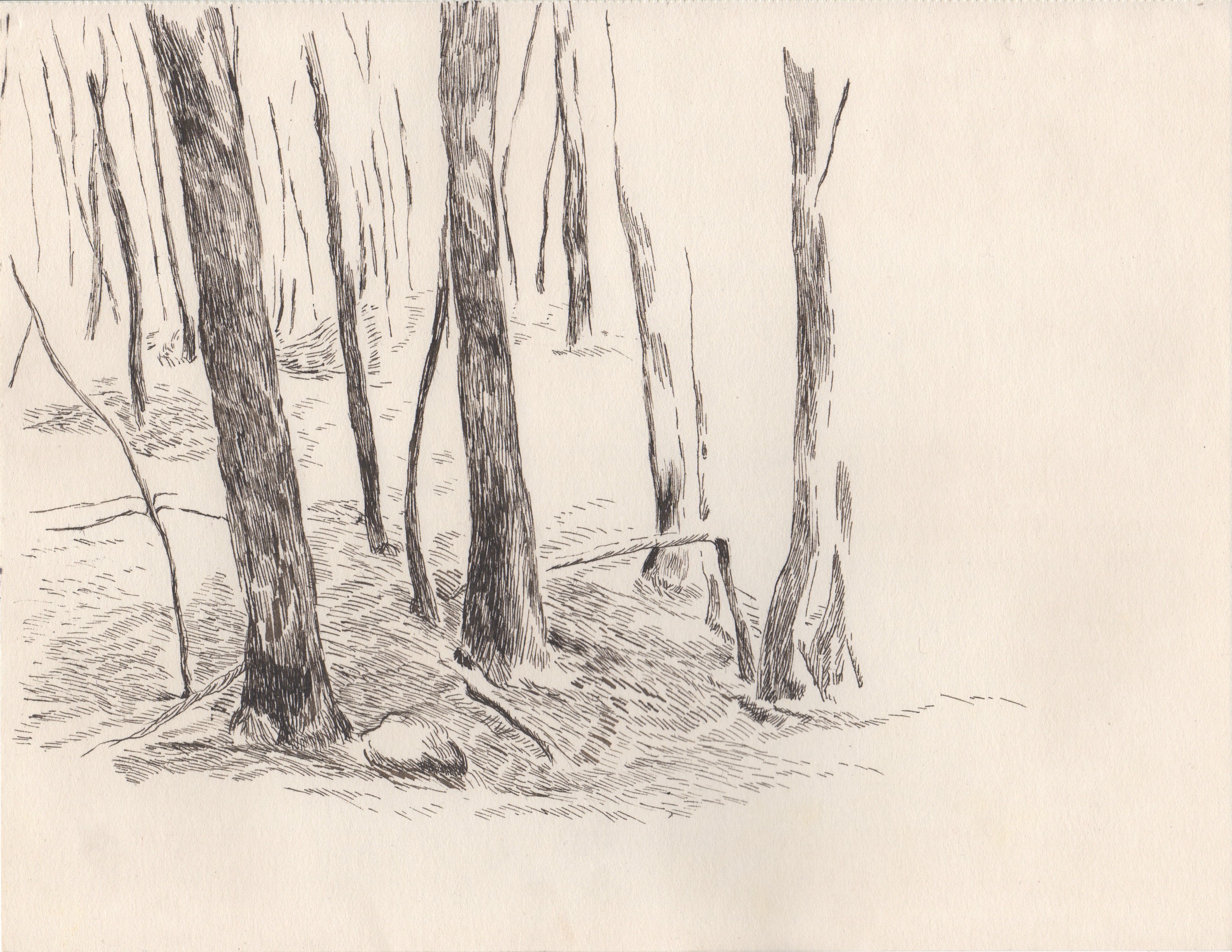 Baurjan Aralov, No Title, Woods Dynamics Baurjan Aralov, No Title, Woods Dynamics