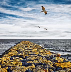Photographie, Freedom, Jan Brunclík