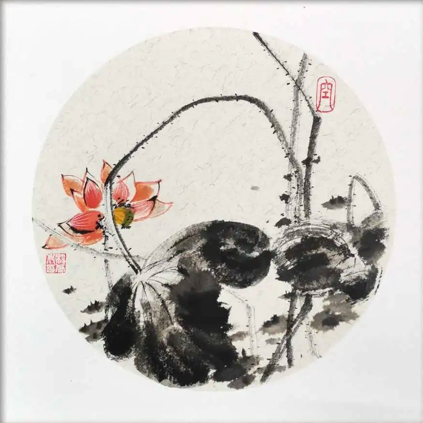 Xiu, Lotus 9 Xiu, Lotus 9