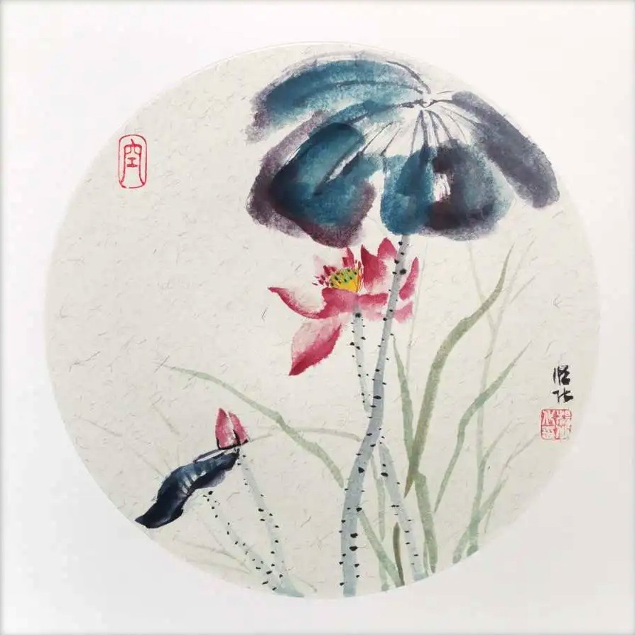 Xiu, Lotus 8 Xiu, Lotus 8