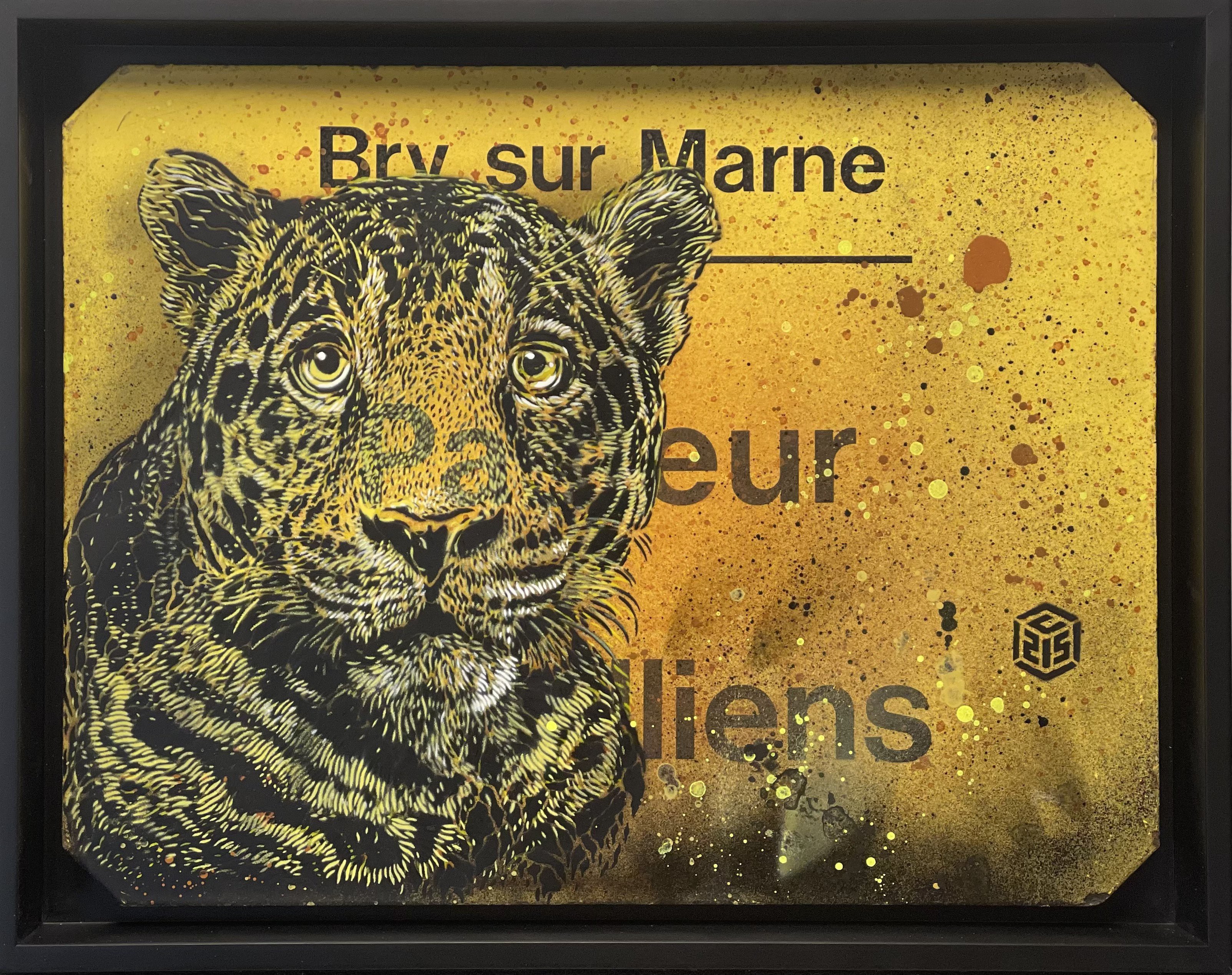 C215, Léopard C215, Léopard