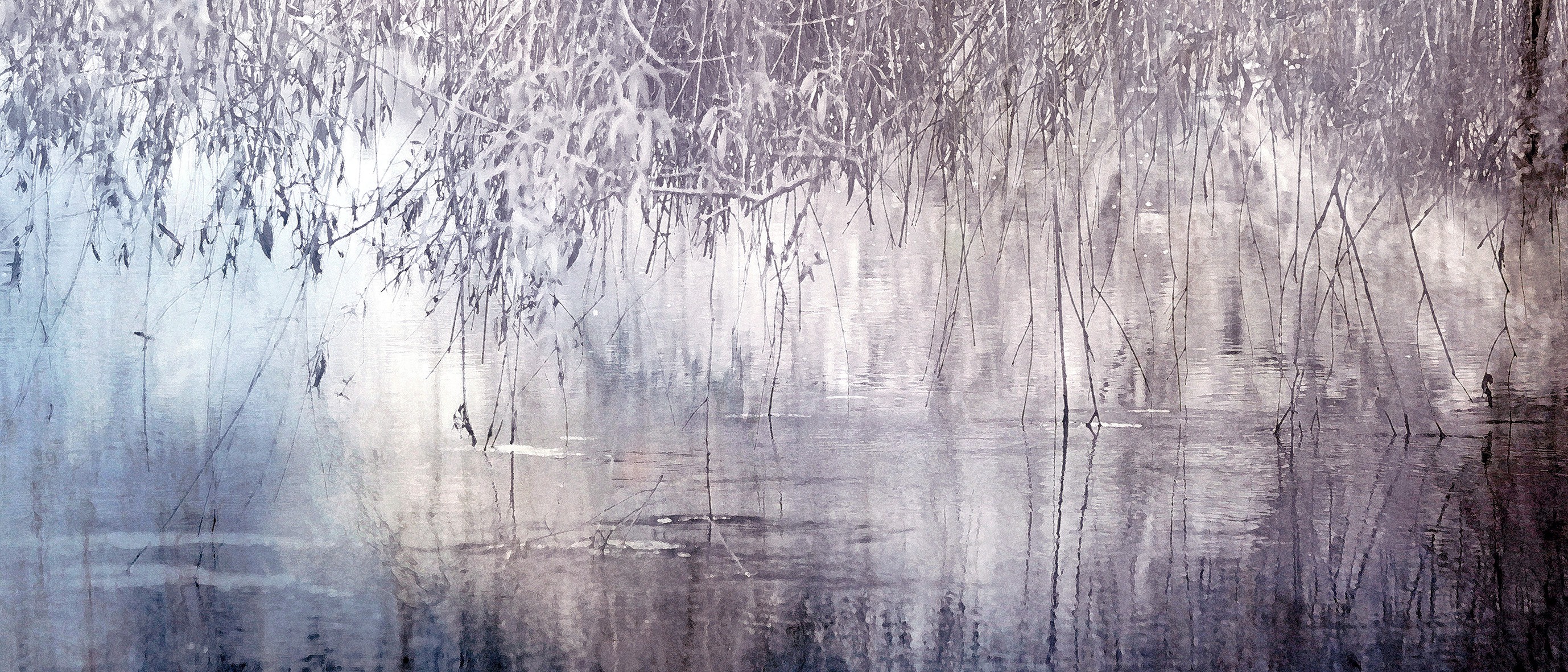 Arelys Photos, Reflet Mauve Arelys Photos, Reflet Mauve