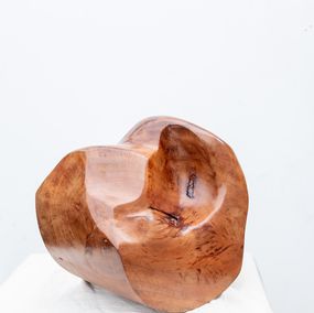 Whirl & Whittle, Alexei Sculpture in Florida Mahogany Wood Whirl & Whittle, Alexei Sculpture in Florida Mahogany Wood
