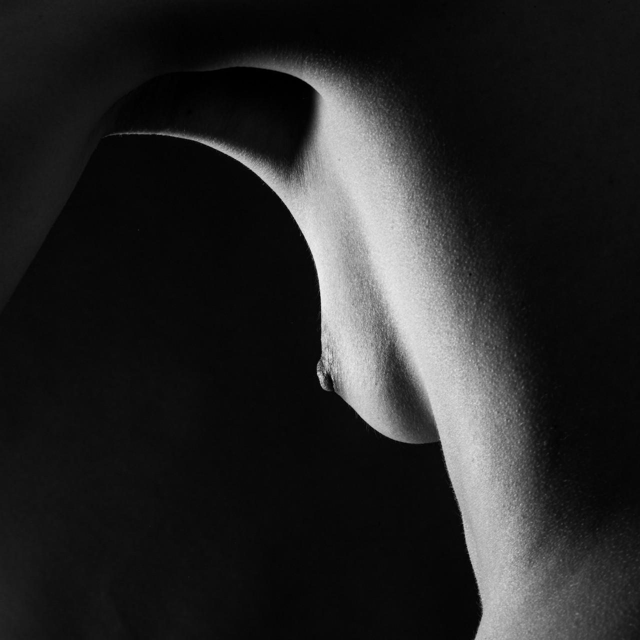 Franck Leclerc, Photographie Franck Leclerc, Photographie
