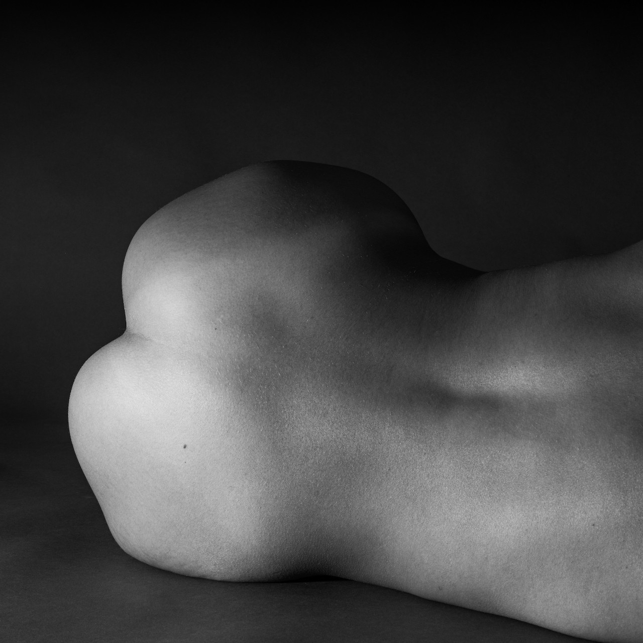 Franck Leclerc, Curves Franck Leclerc, Curves