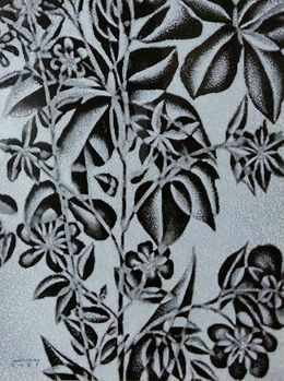Lily of the Nile, Boy Kiamko