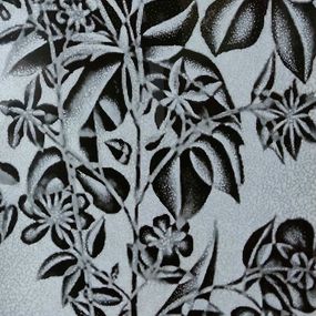 Lily of the Nile, Boy Kiamko