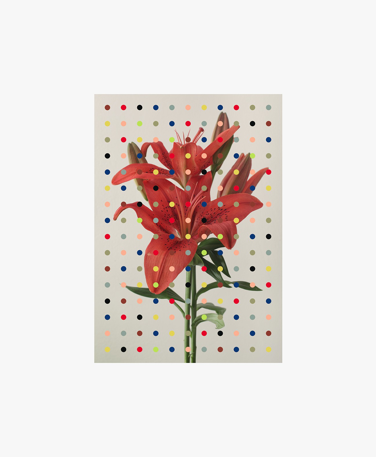 Salvatore Arnone, 6002. From The ONE Series Salvatore Arnone, 6002. From The ONE Series