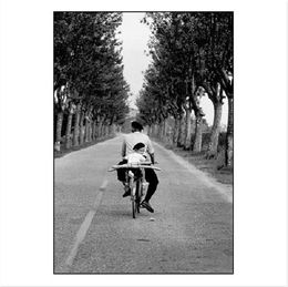 Provence, France, Elliott Erwitt