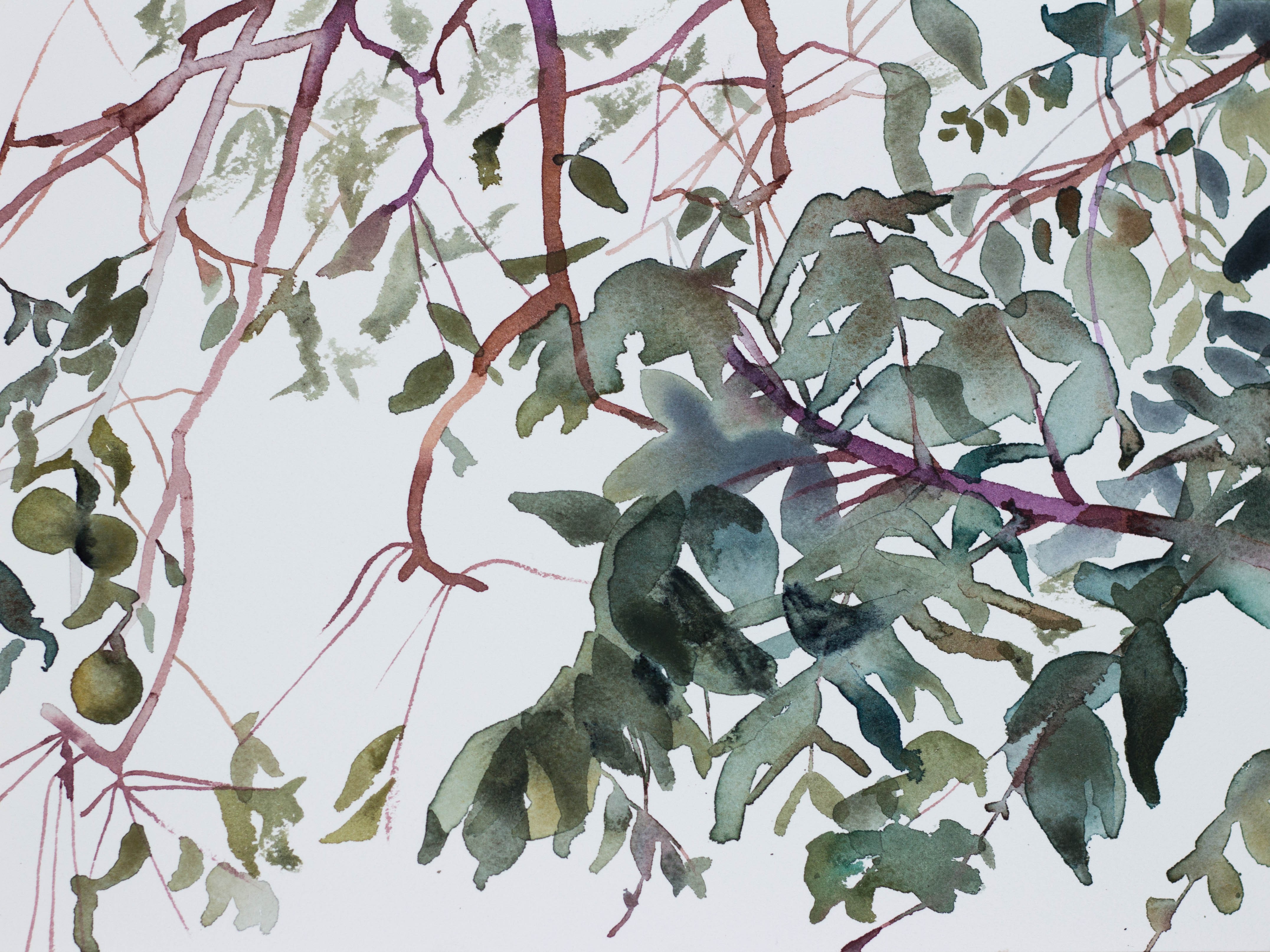 Elizabeth Becker, Branch Study No. 1 Elizabeth Becker, Branch Study No. 1
