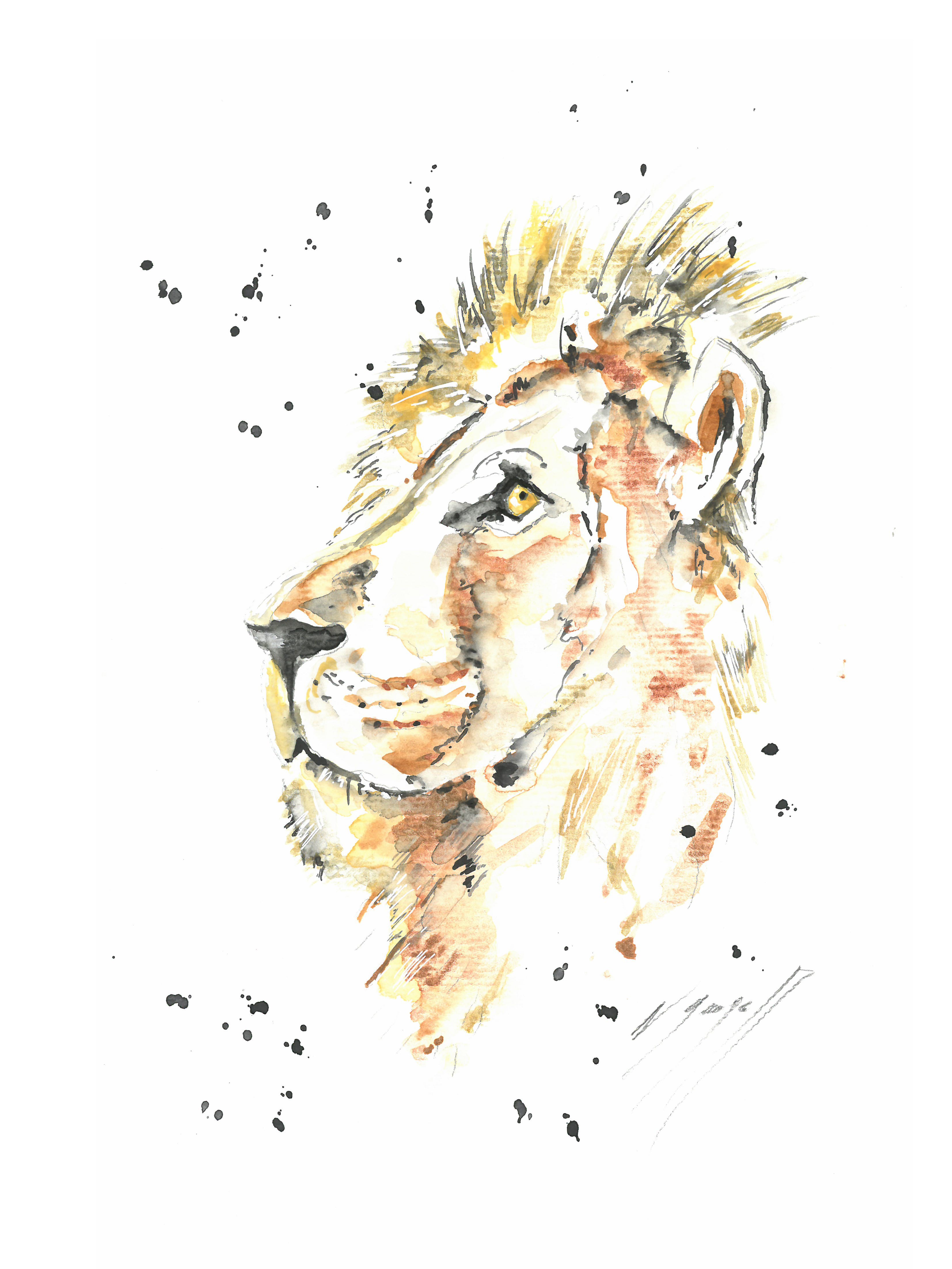 Noël Granger, Notre lion d'or ! Noël Granger, Notre lion d'or !