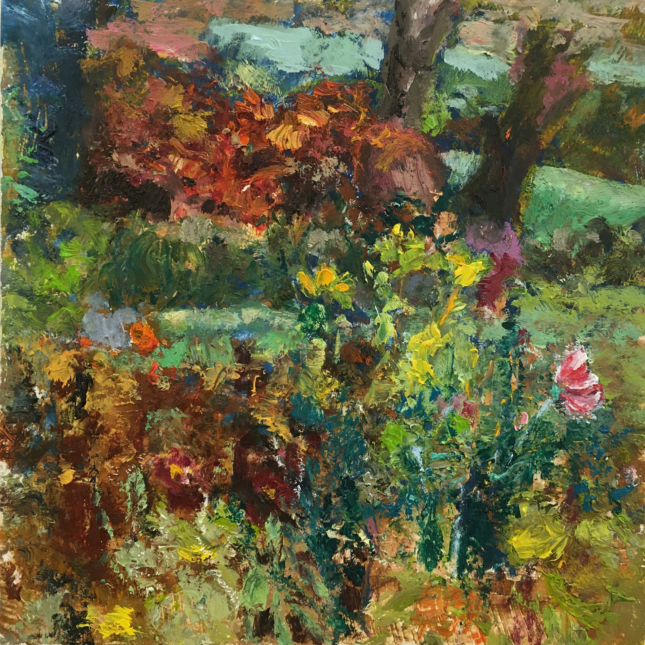 Ellen Geerts, Jardin 1 - Cosmea Ellen Geerts, Jardin 1 - Cosmea
