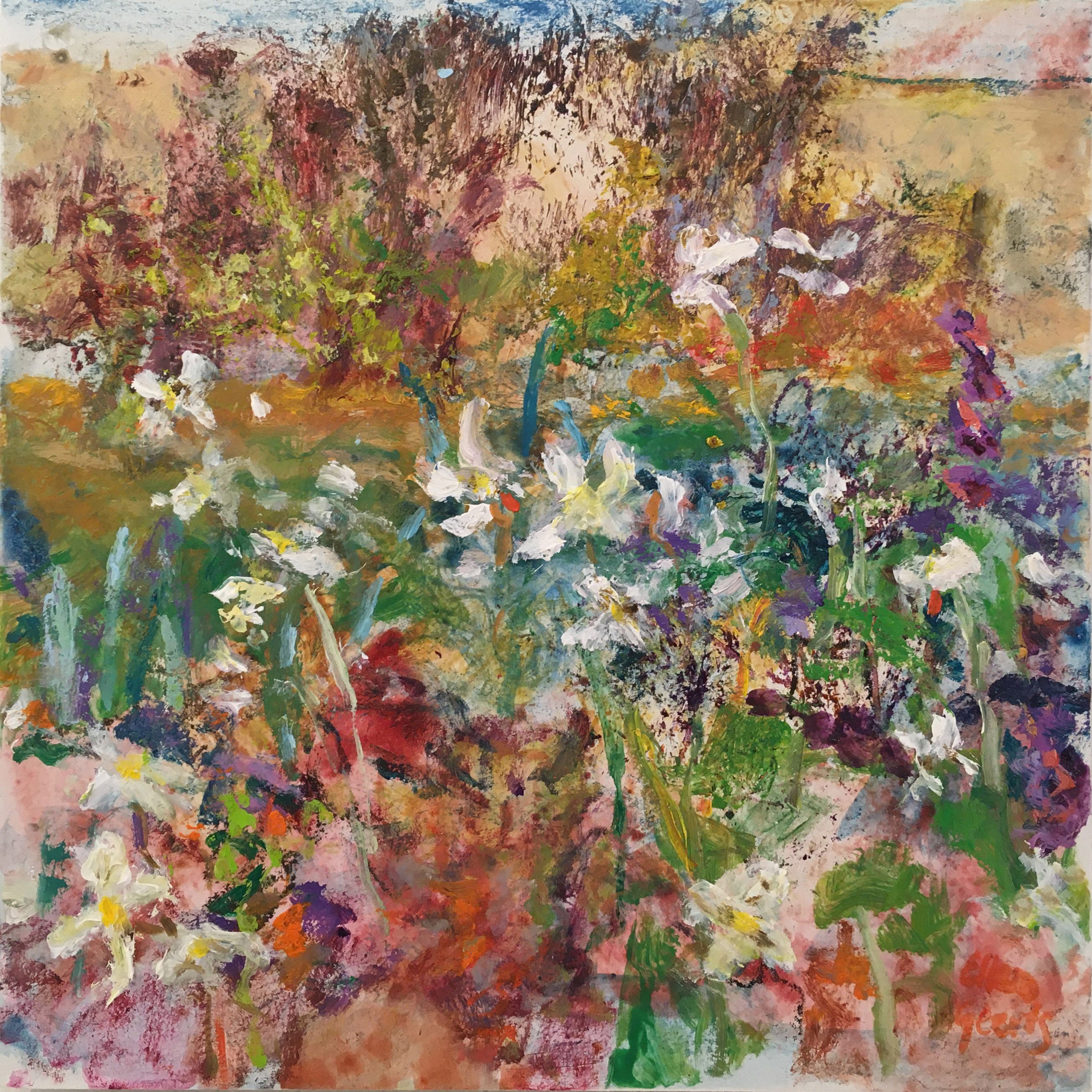 Ellen Geerts, Jardin 3 - Rucola Ellen Geerts, Jardin 3 - Rucola