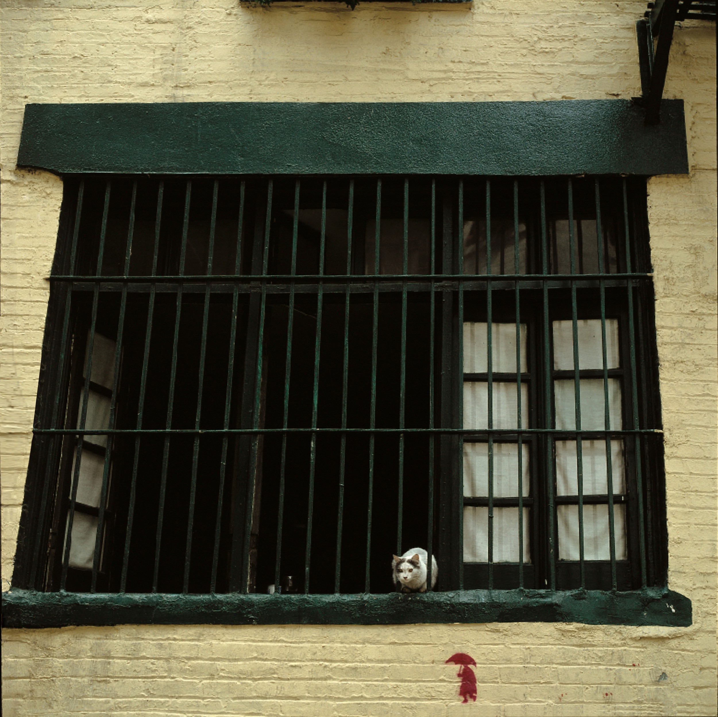 Michael K. Yamaoka, Cat in a Soho Window Michael K. Yamaoka, Cat in a Soho Window