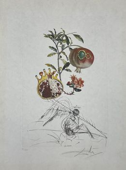 FlorDali/Les fruits - Grenade et l'ange, Salvador Dali