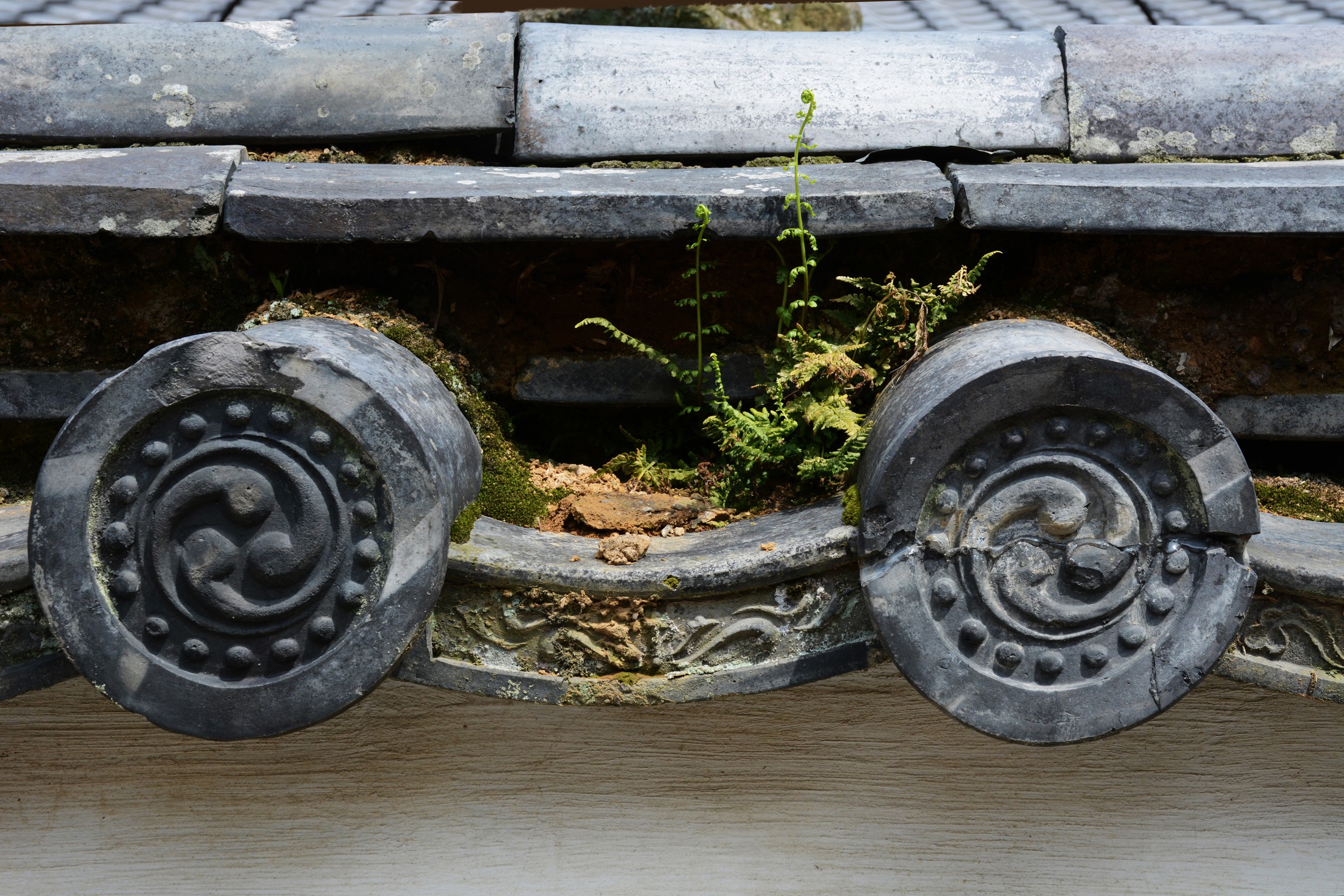 Michael K. Yamaoka, Neglected Roof Tiles Michael K. Yamaoka, Neglected Roof Tiles