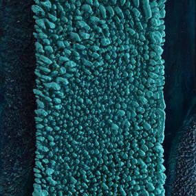 Laura Ecsiova, Thinking of the Blue Colours of the sea Laura Ecsiova, Thinking of the Blue Colours of the sea
