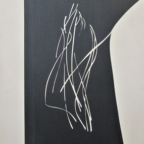 Pittura, Tintotela 1978. Works from the 1970s by thema Tintotela, Paolo Ambrosio