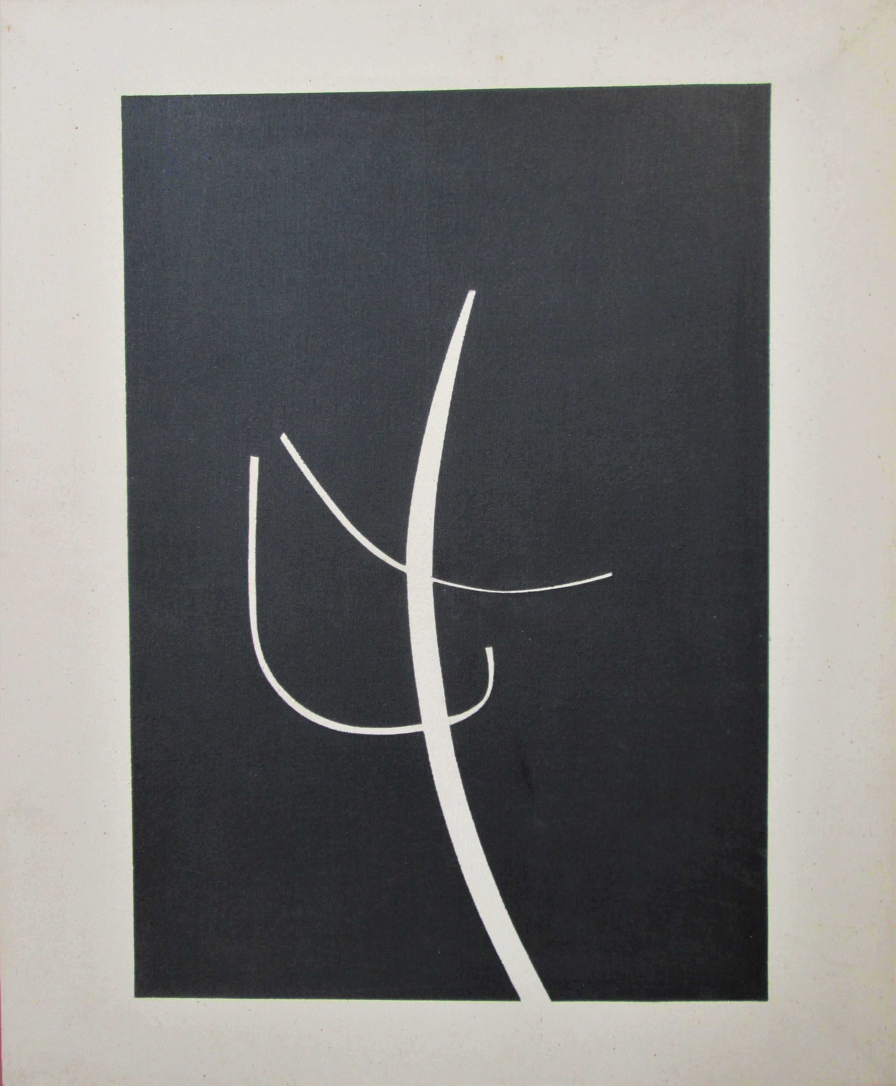 Paolo Ambrosio, Tintotela 1978. Works from the 1970s by thema: Tintotela Paolo Ambrosio, Tintotela 1978. Works from the 1970s by thema: Tintotela