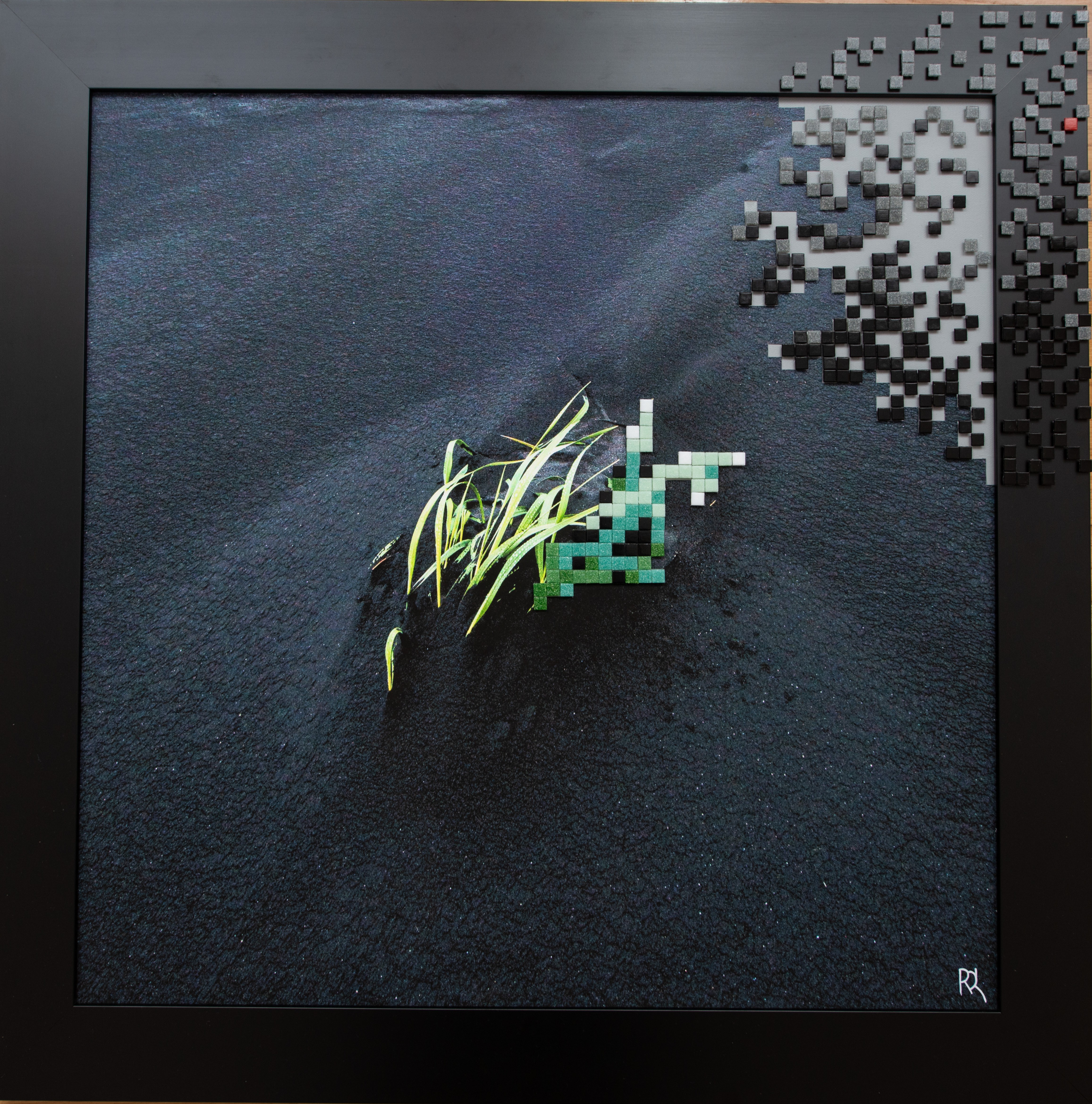 Romain Liverato, Pixellisation V Romain Liverato, Pixellisation V