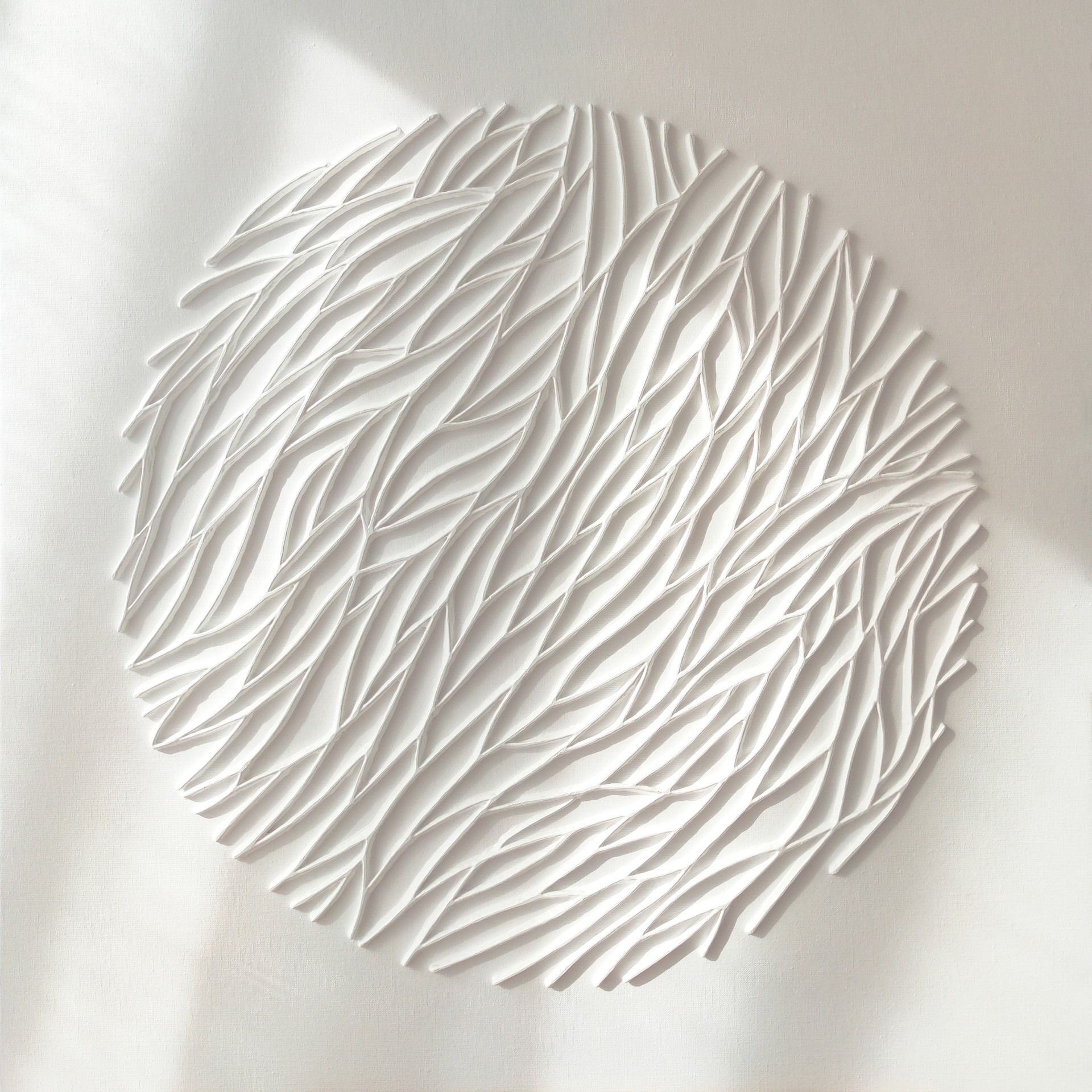 Diana Torje, Flow Diana Torje, Flow
