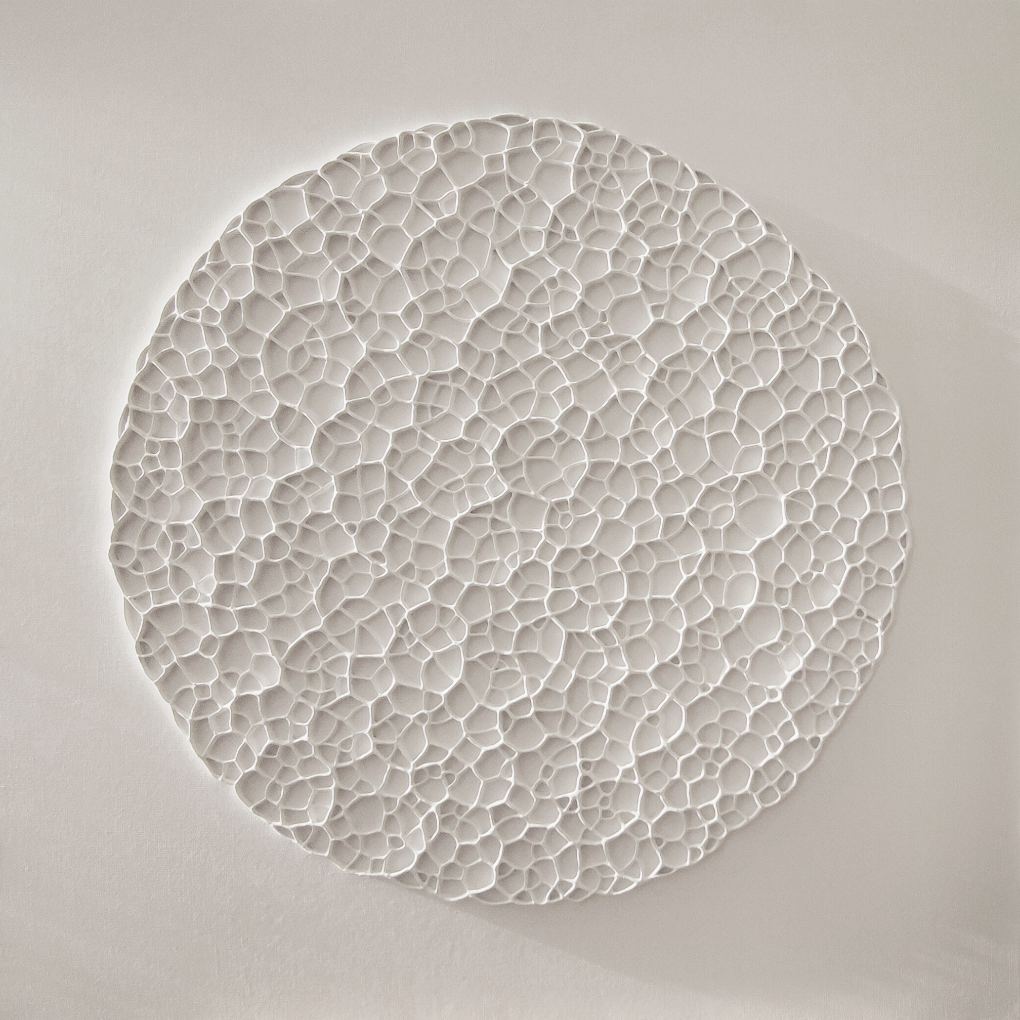 Diana Torje, Lace Diana Torje, Lace