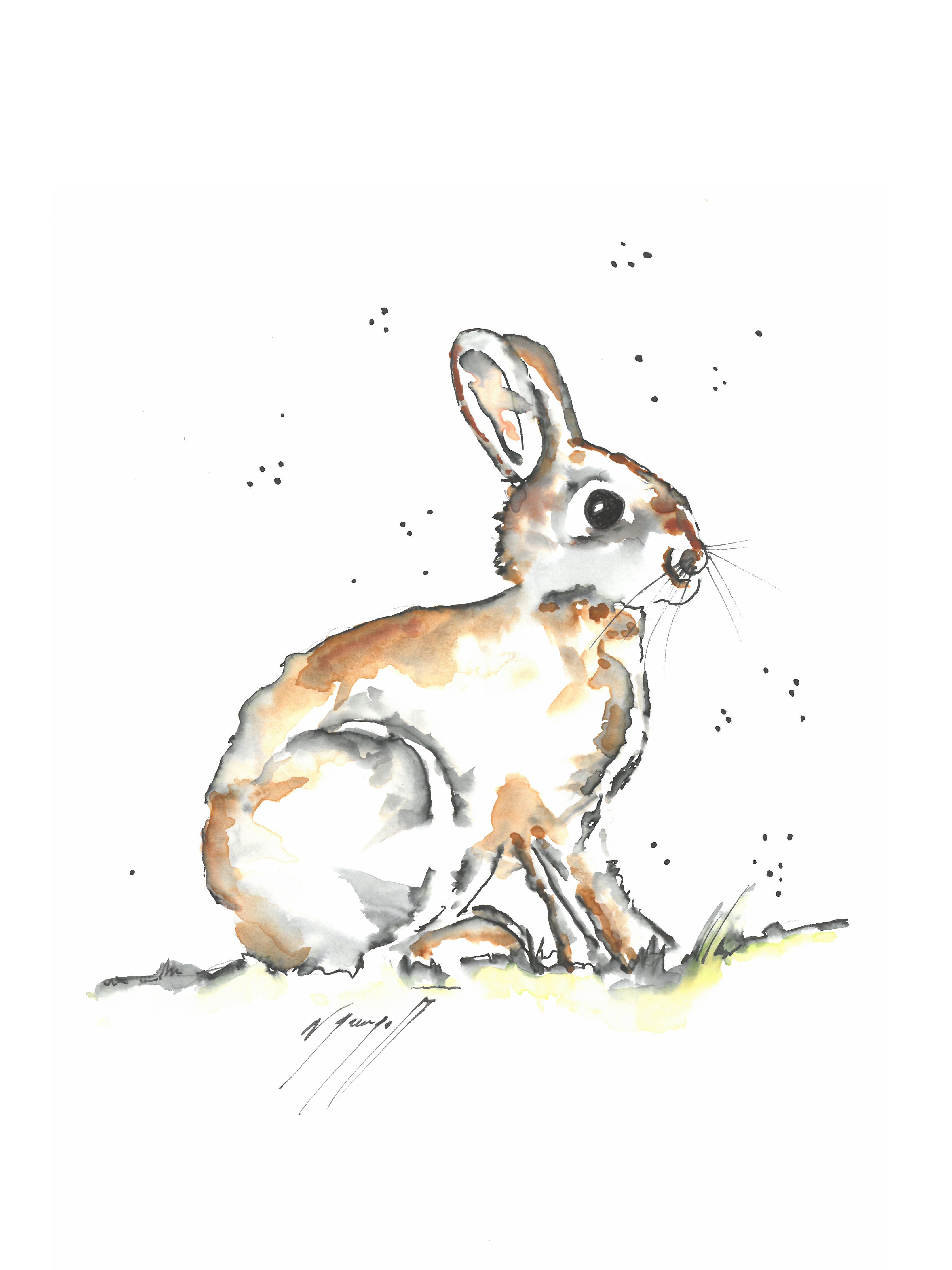 Noël Granger, Notre petit lapin ! Noël Granger, Notre petit lapin !