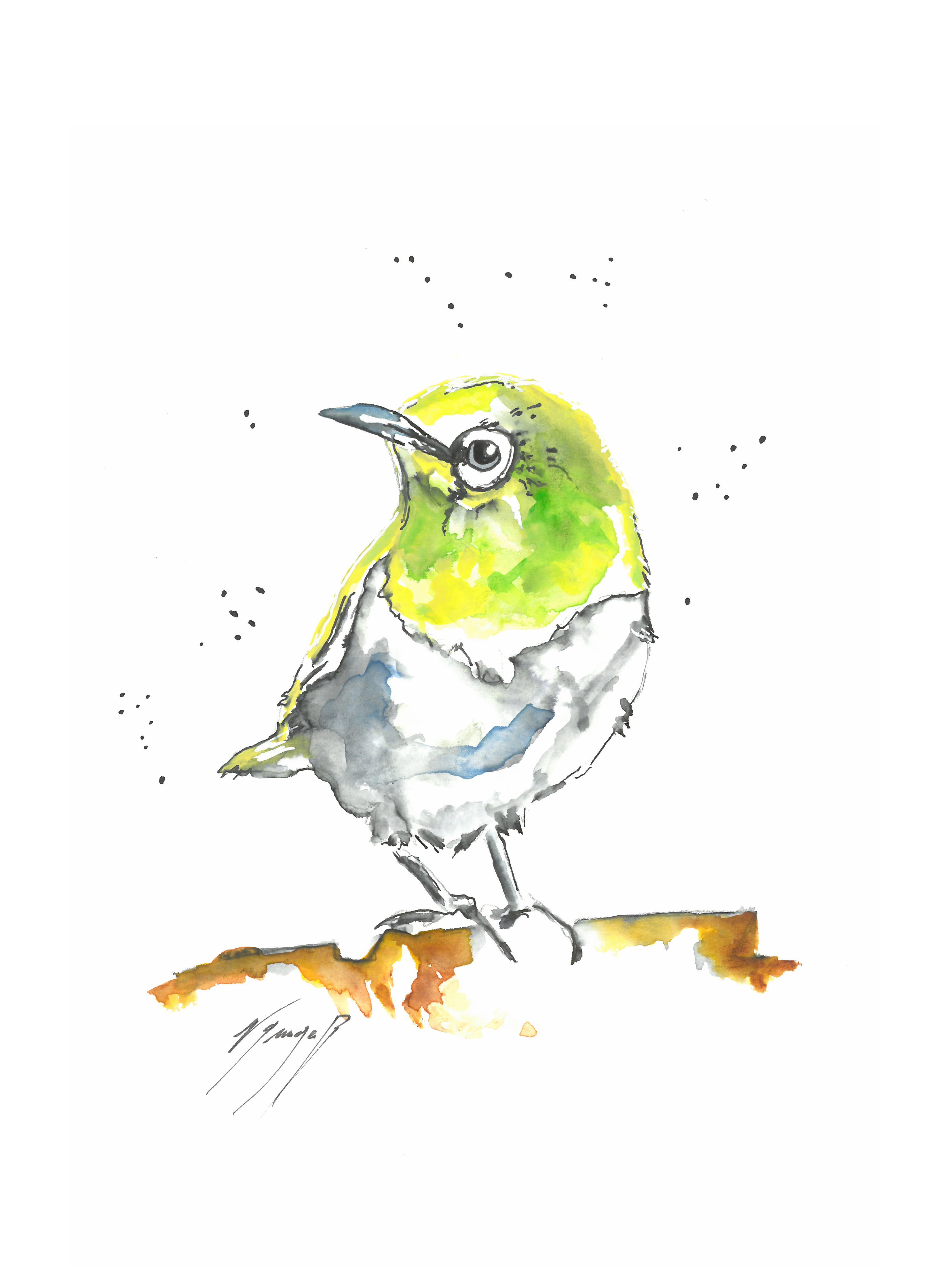 Noël Granger, Notre pioupiou au masque vert ! Noël Granger, Notre pioupiou au masque vert !