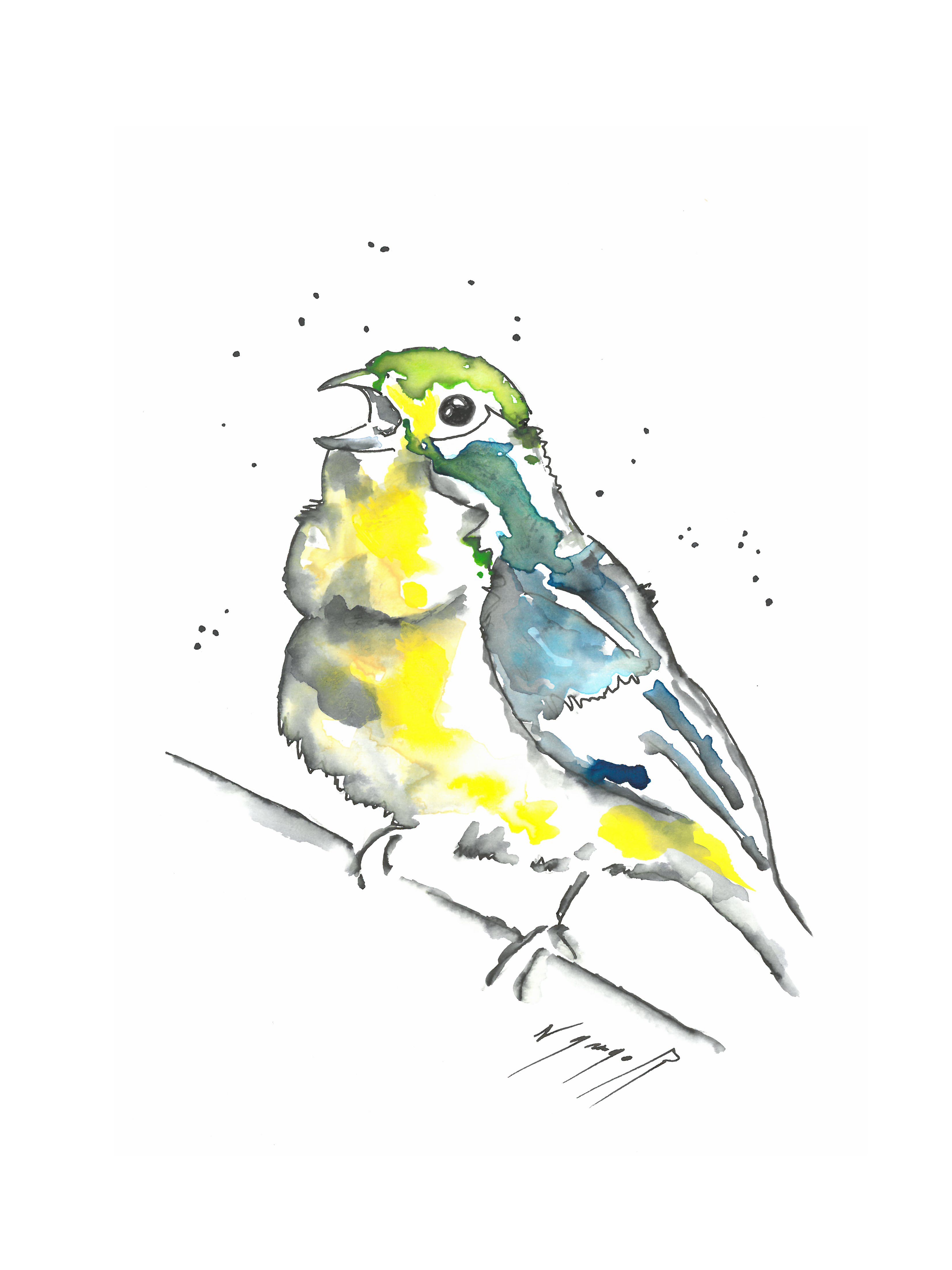 Noël Granger, My little blue-yellow bird ! Noël Granger, My little blue-yellow bird !