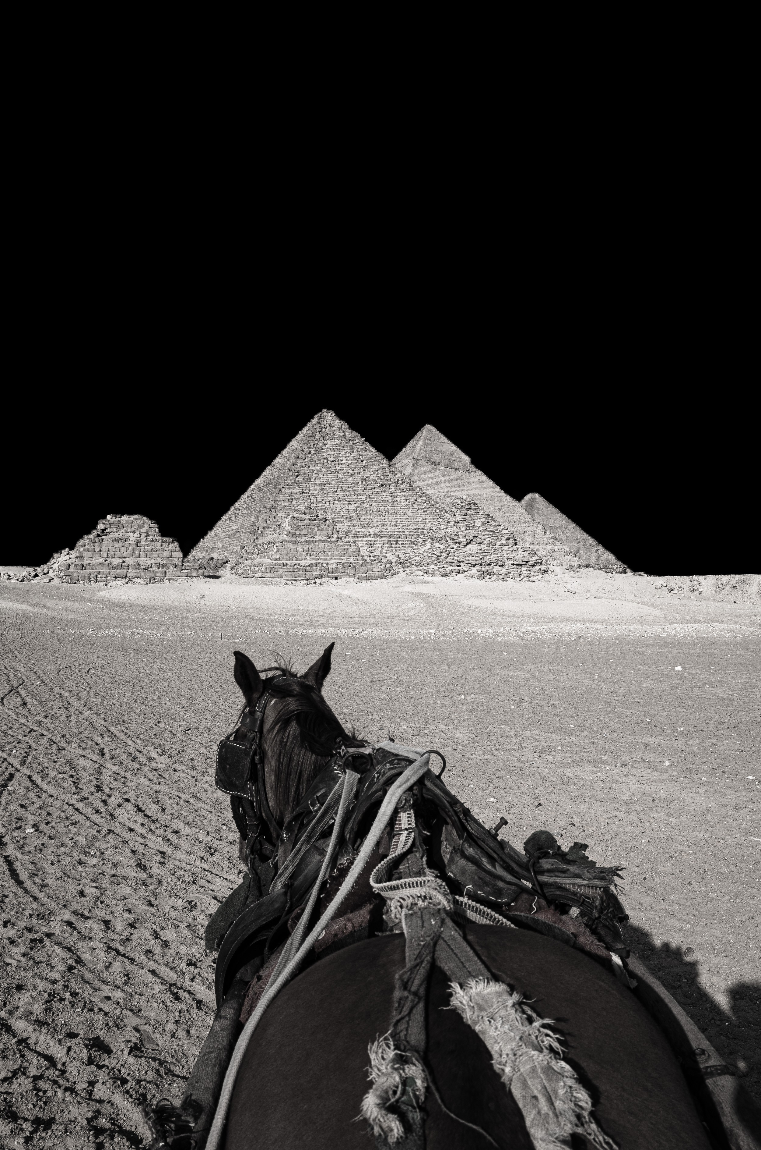 Guilhem Ribart, Pyramid riding Guilhem Ribart, Pyramid riding