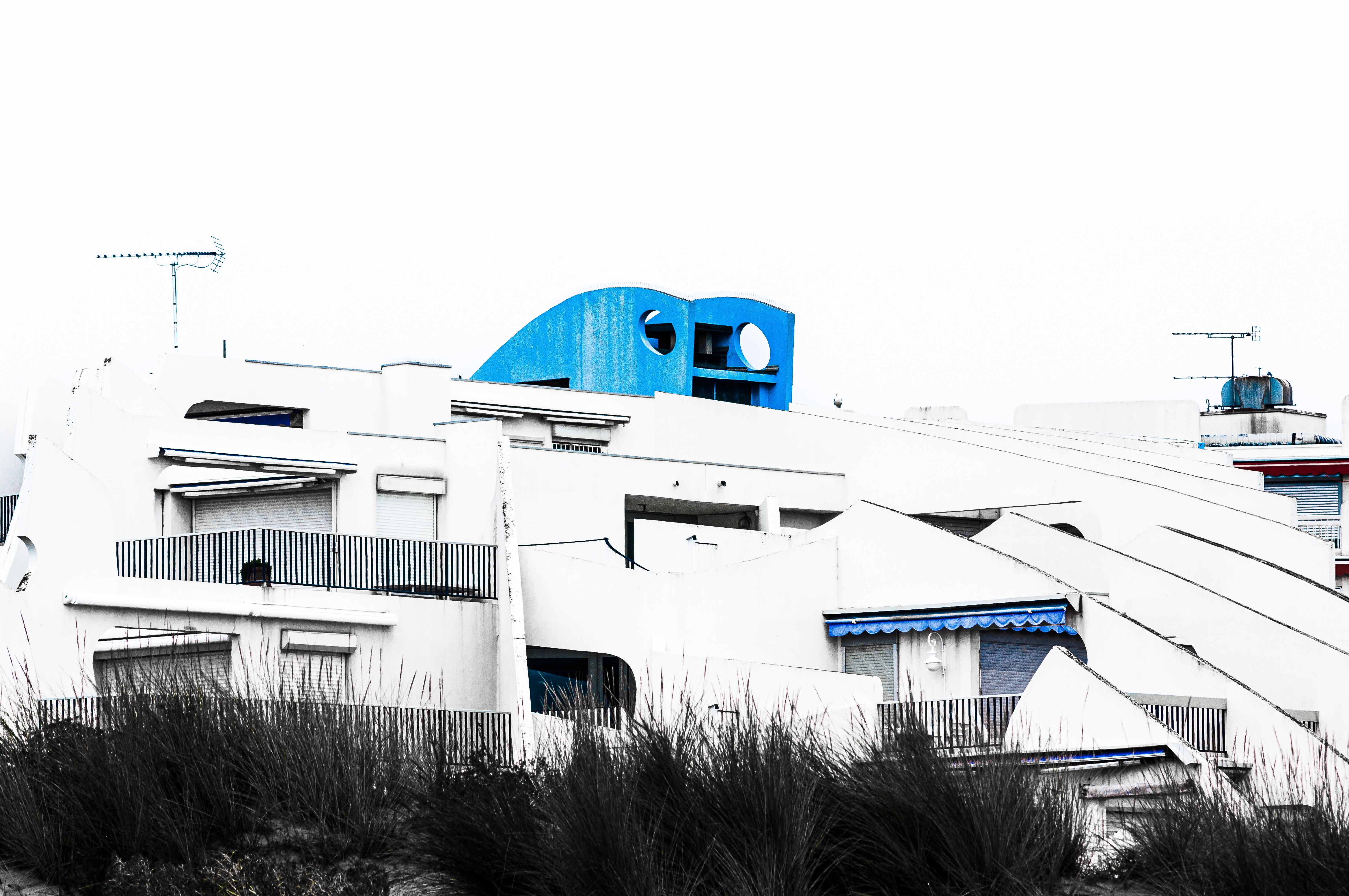 Guilhem Ribart, La tache bleue Guilhem Ribart, La tache bleue